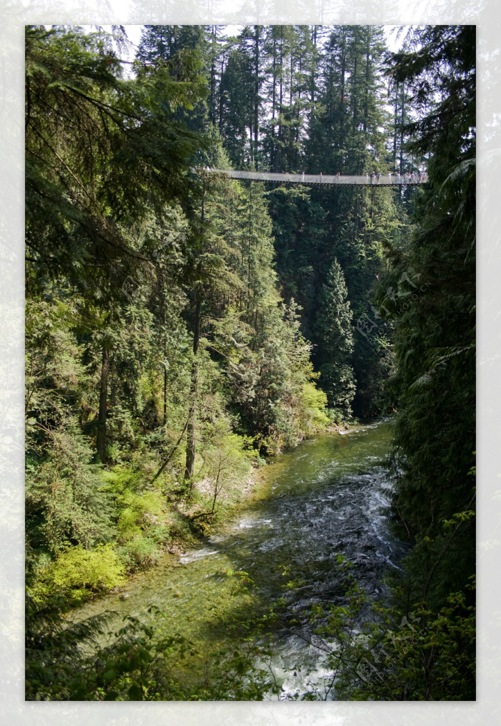 林间溪流图片素材