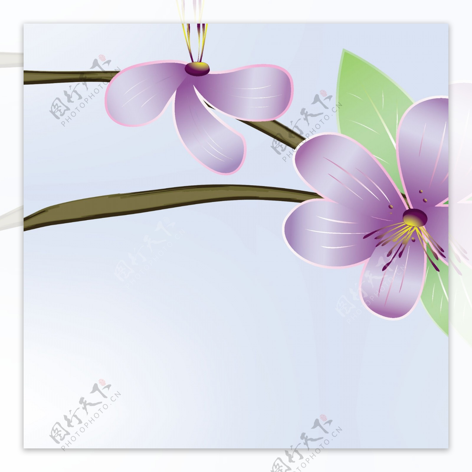 淡雅花卉卡片