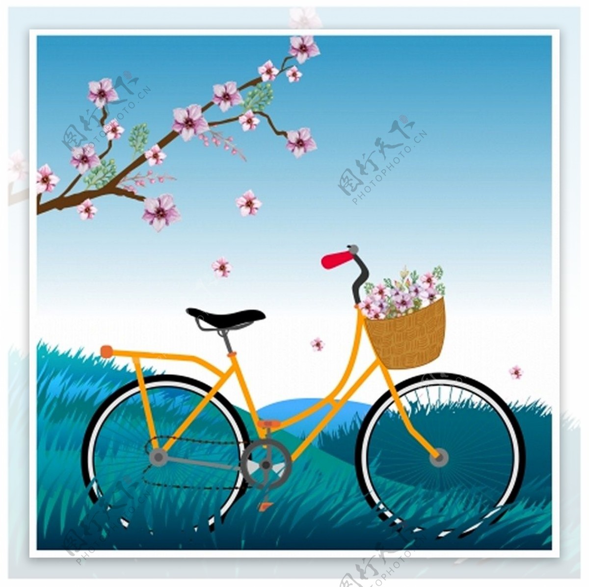 樱花树下的自行车