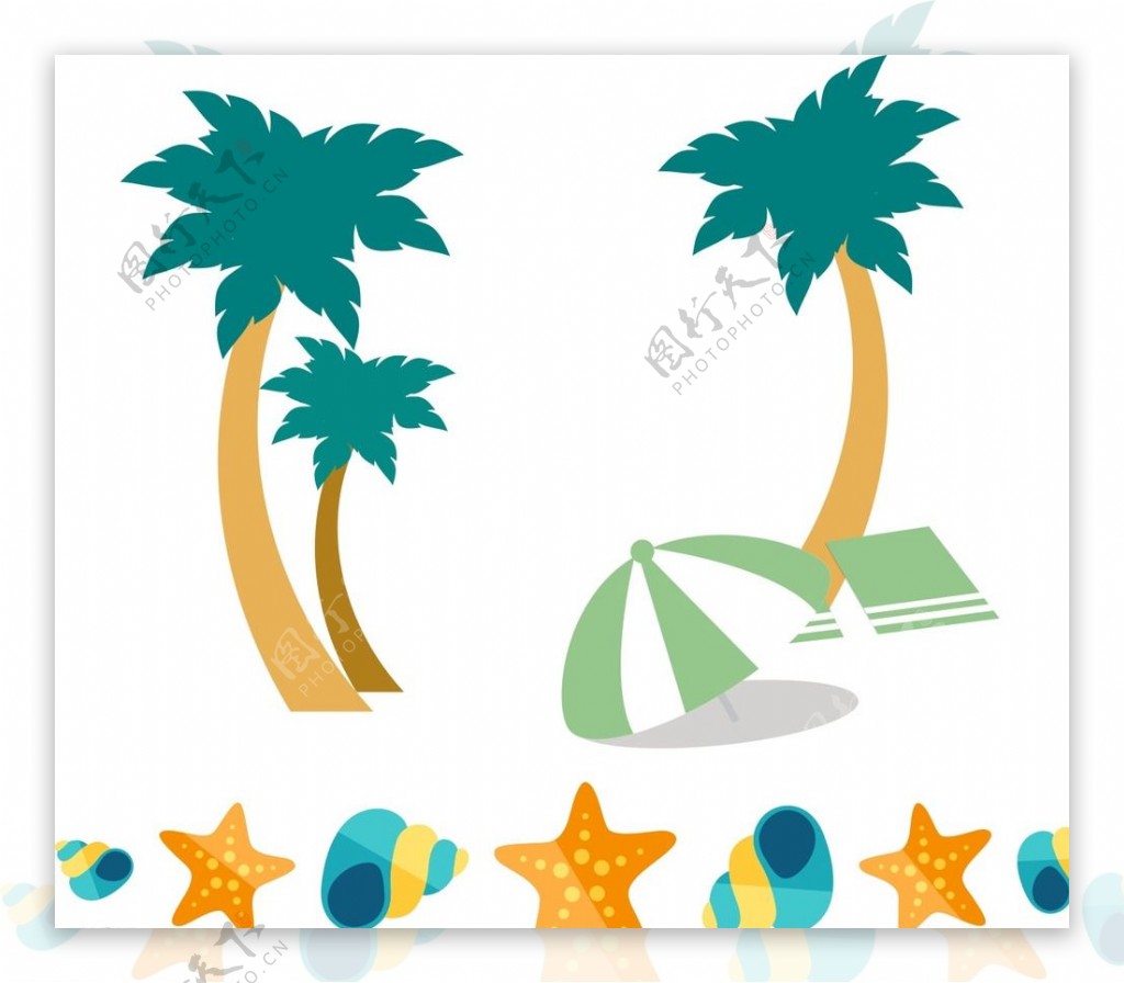 椰子树贝壳海五星图片