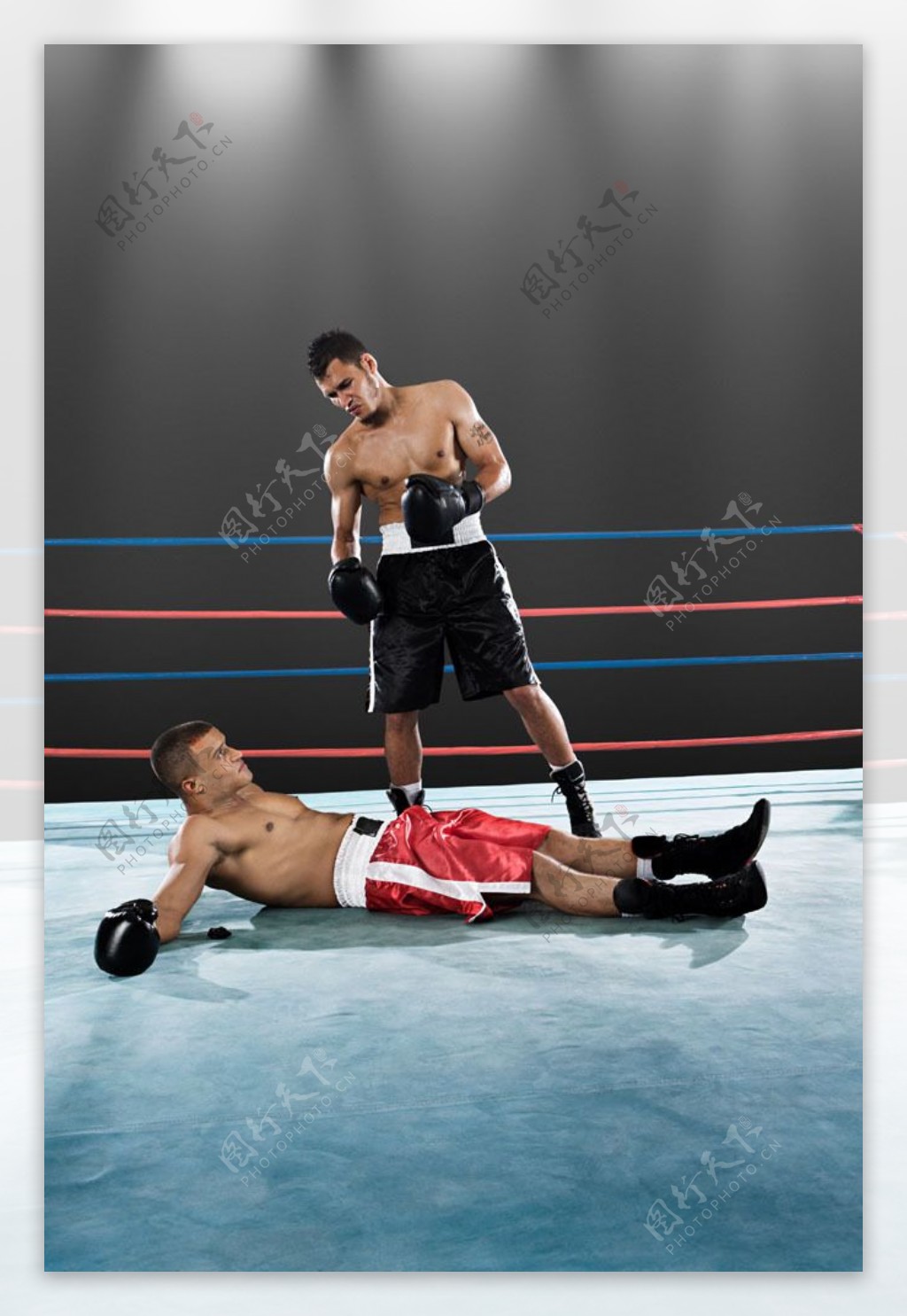 擂台上被击倒的拳击手图片图片