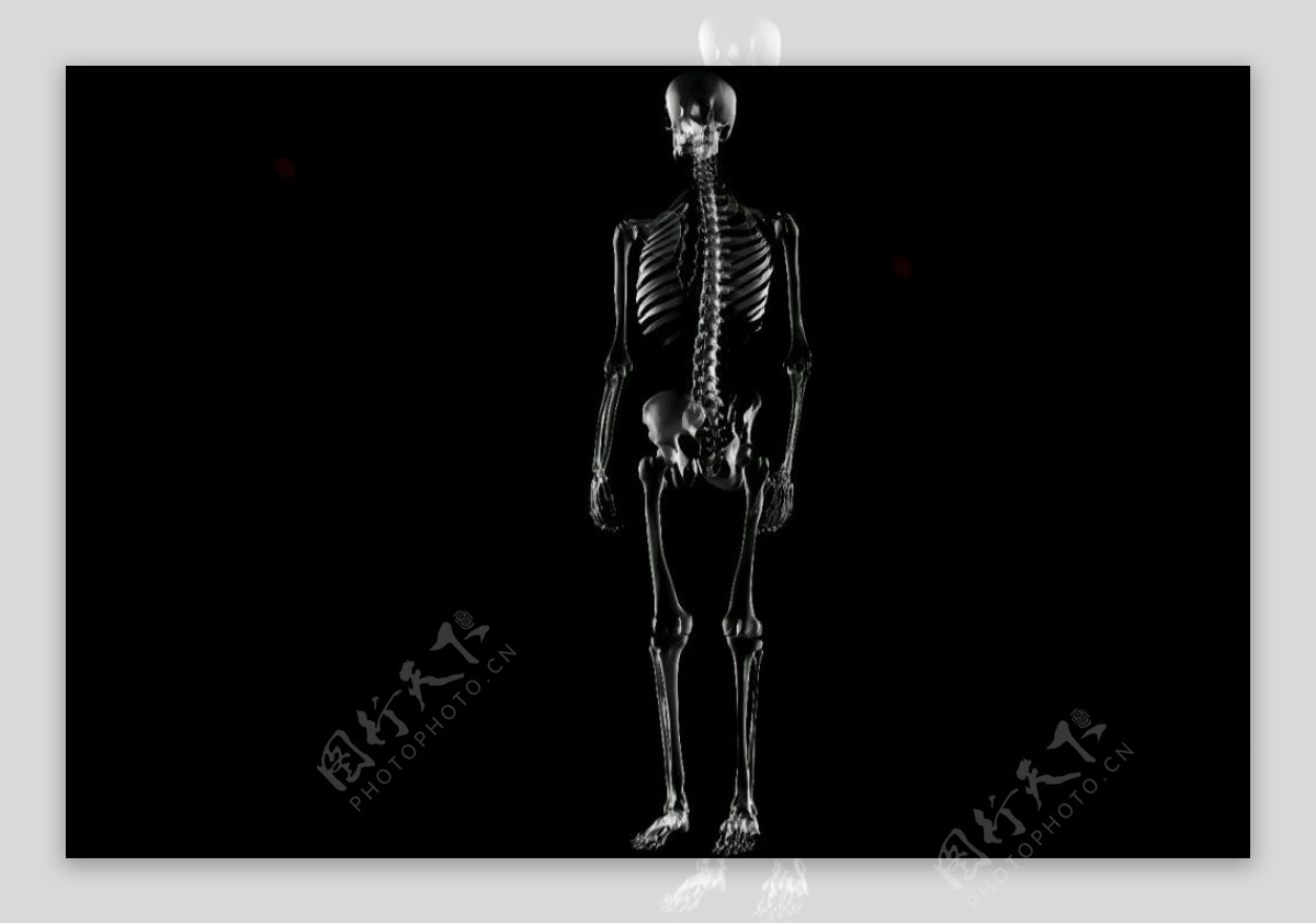 医学X射线人身体解剖学骨架视频素材