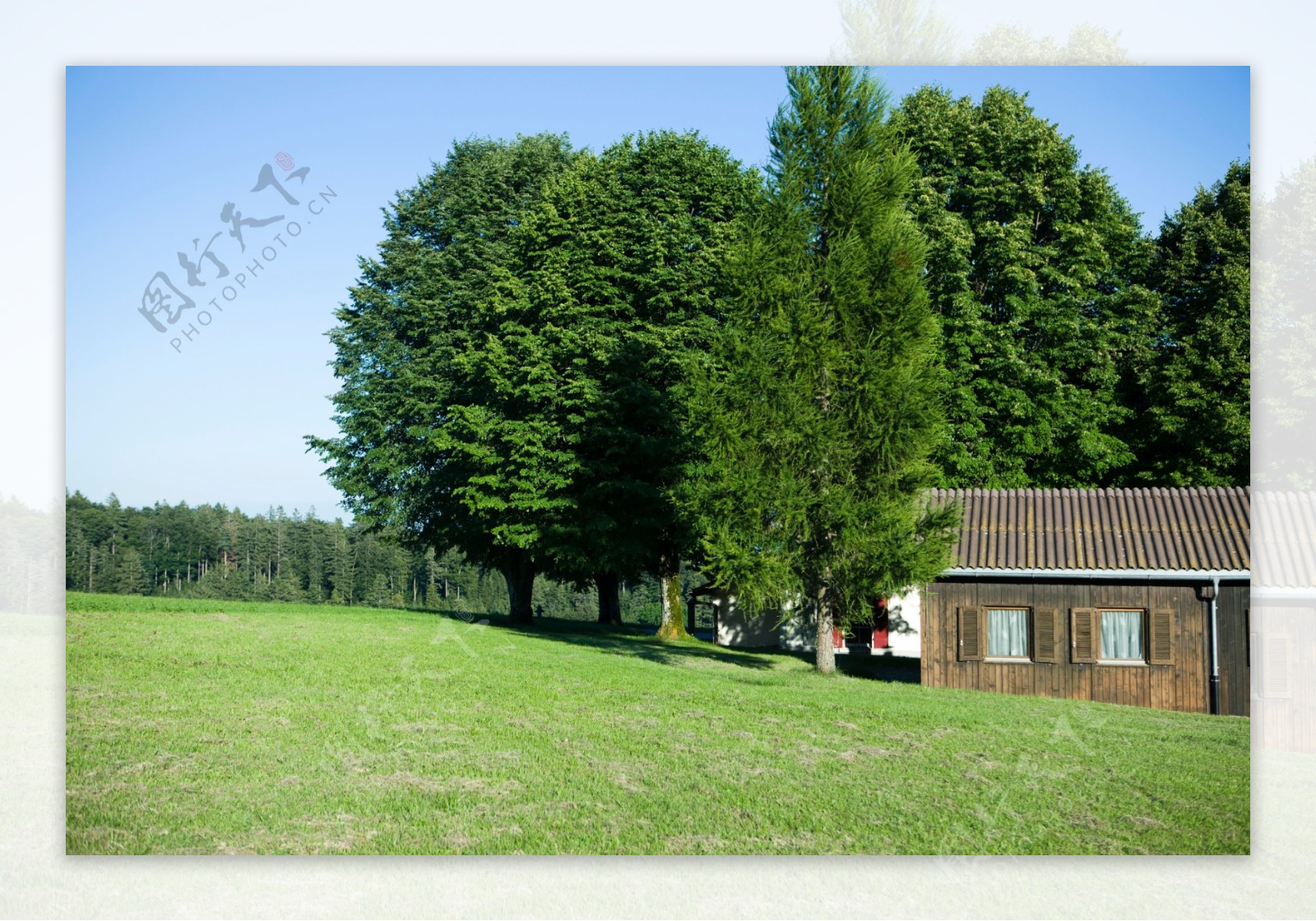 草原房子与树木