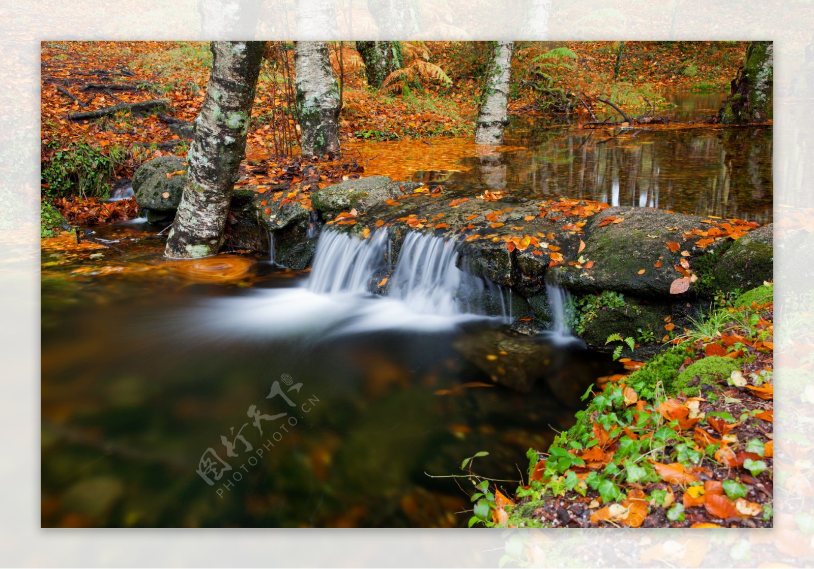 秋天树林里的瀑布小溪