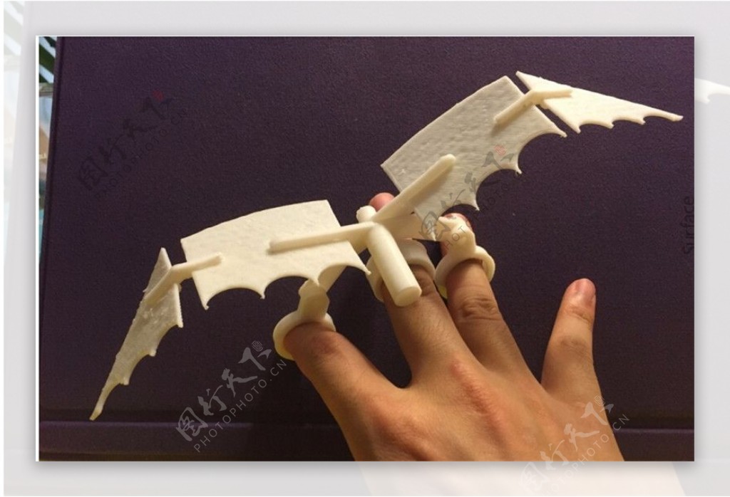 手指飞龙3D打印模型
