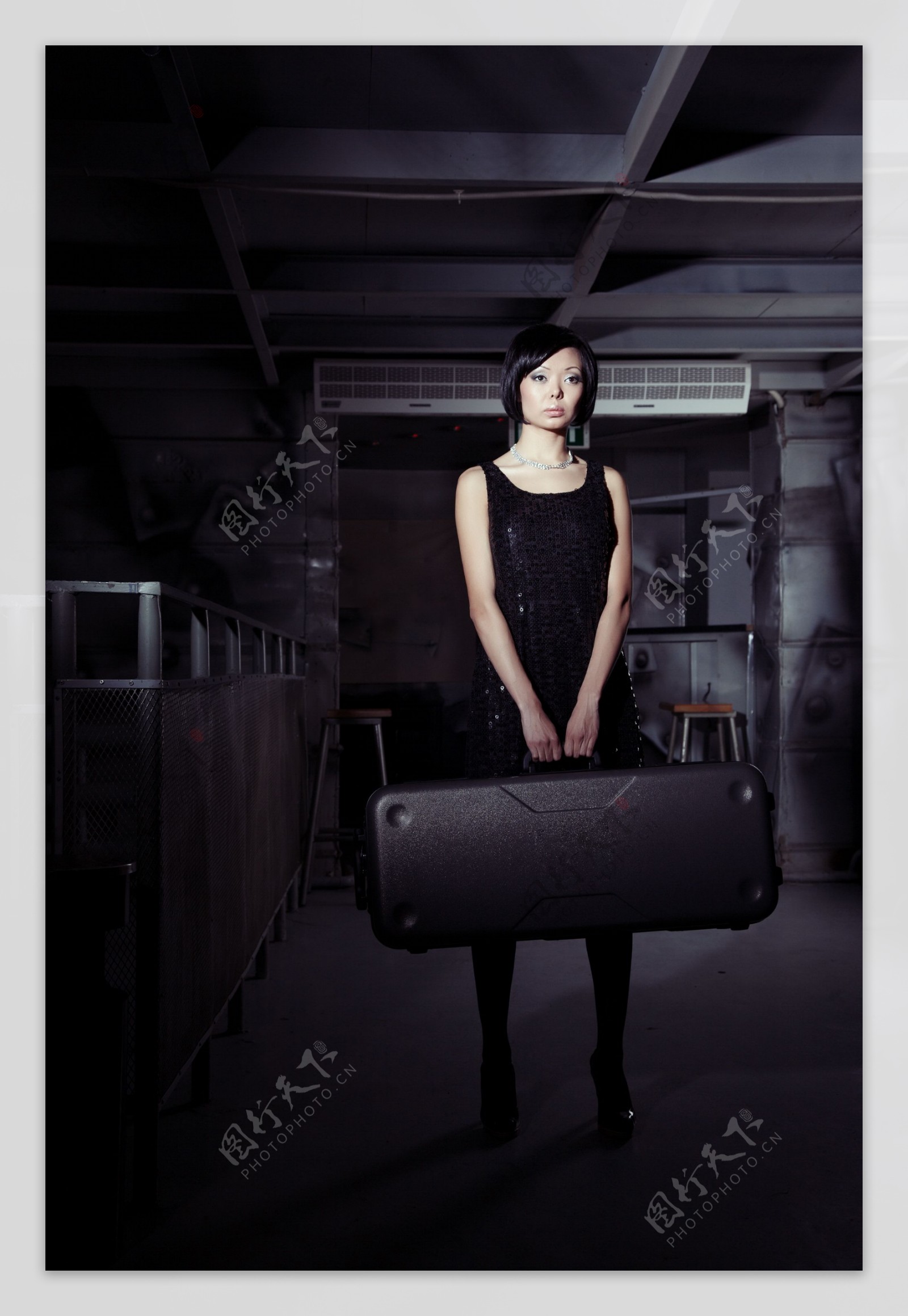 提着手提箱的女人图片