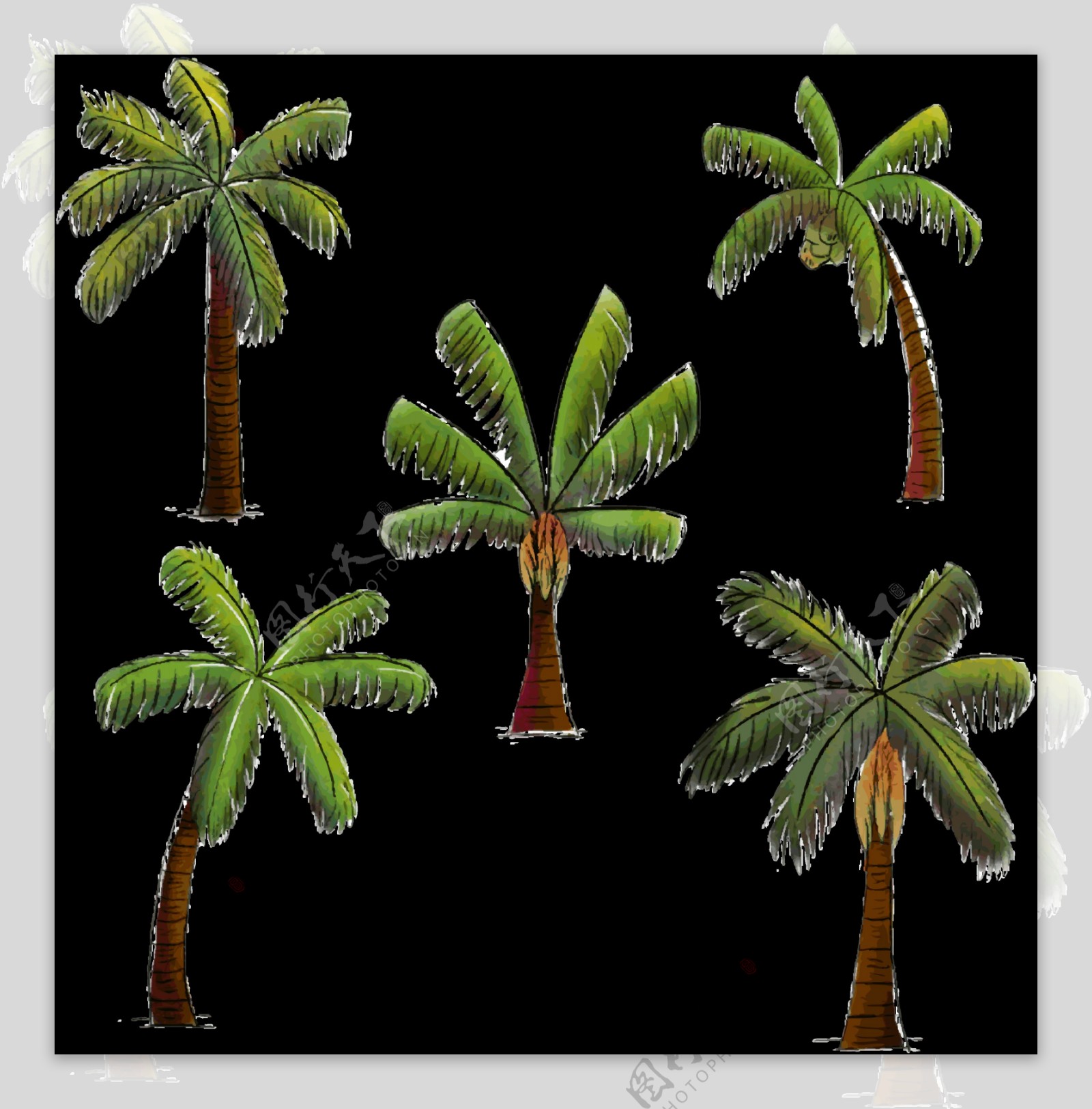 绿色椰子树免抠png透明图层素材