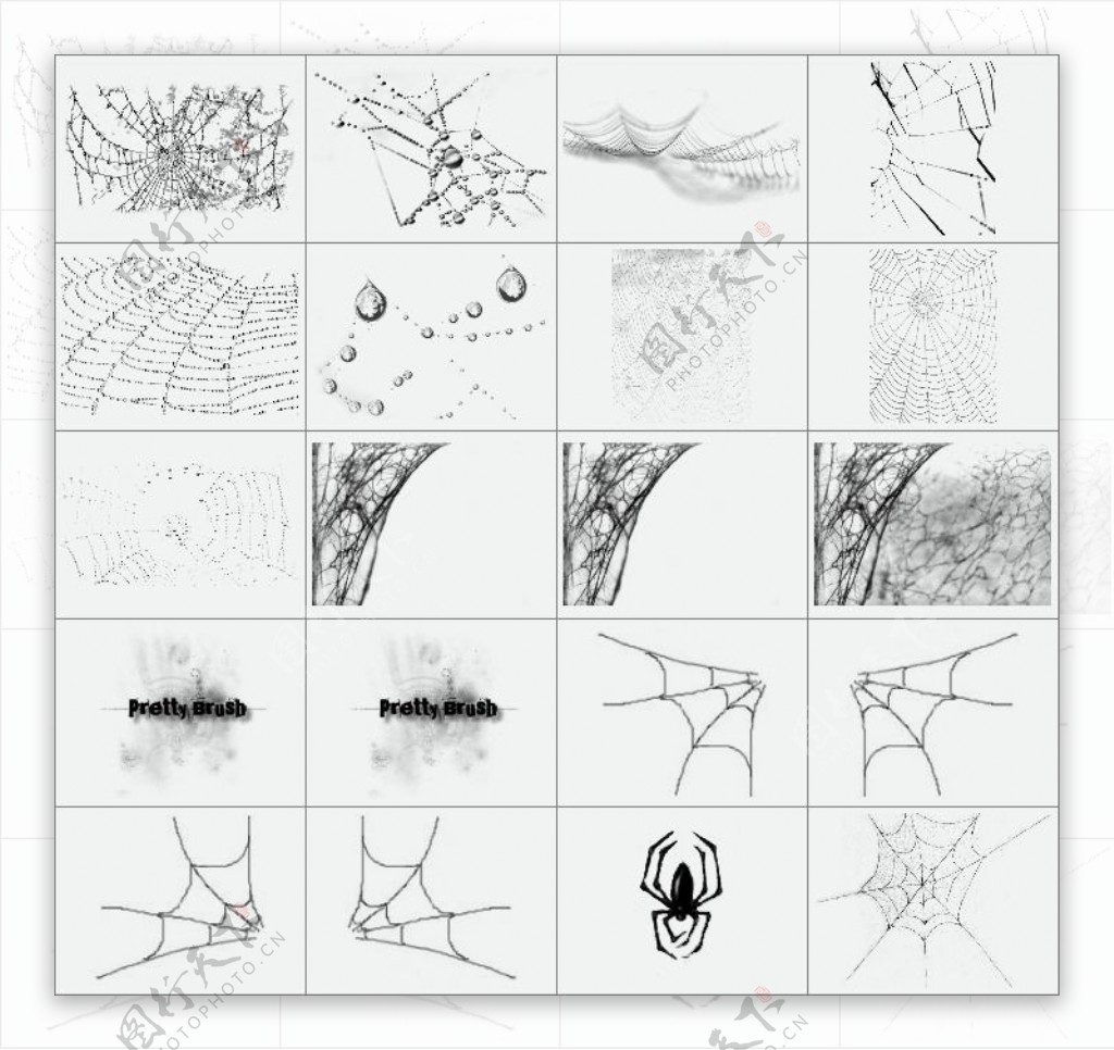 蜘蛛网与水珠子笔刷