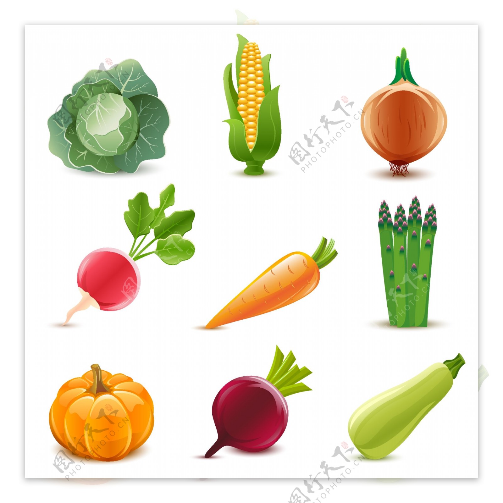 蔬菜设计素材