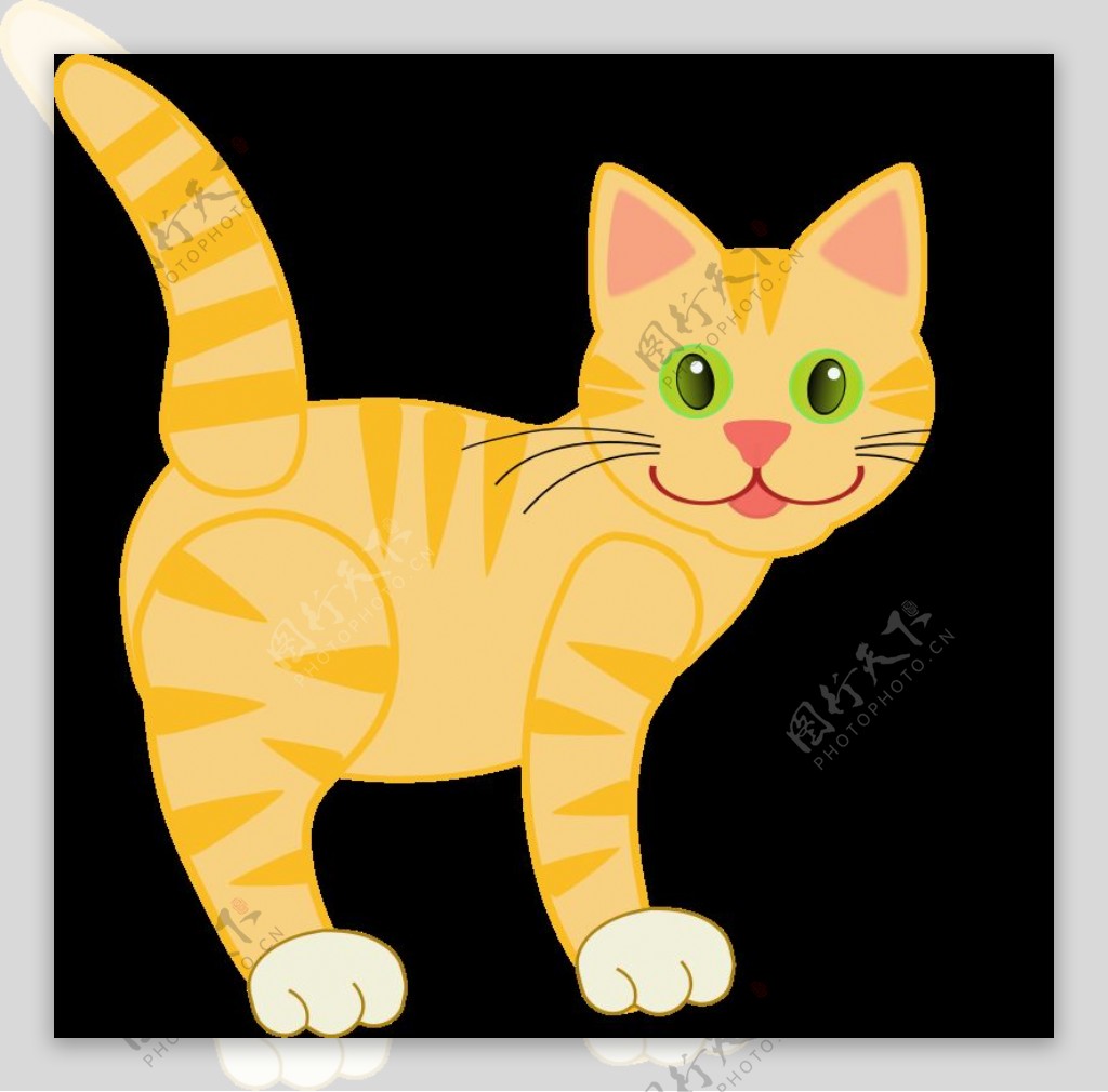 黄色虎纹猫
