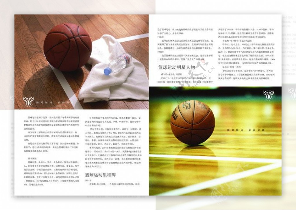篮球运动版式设计下载