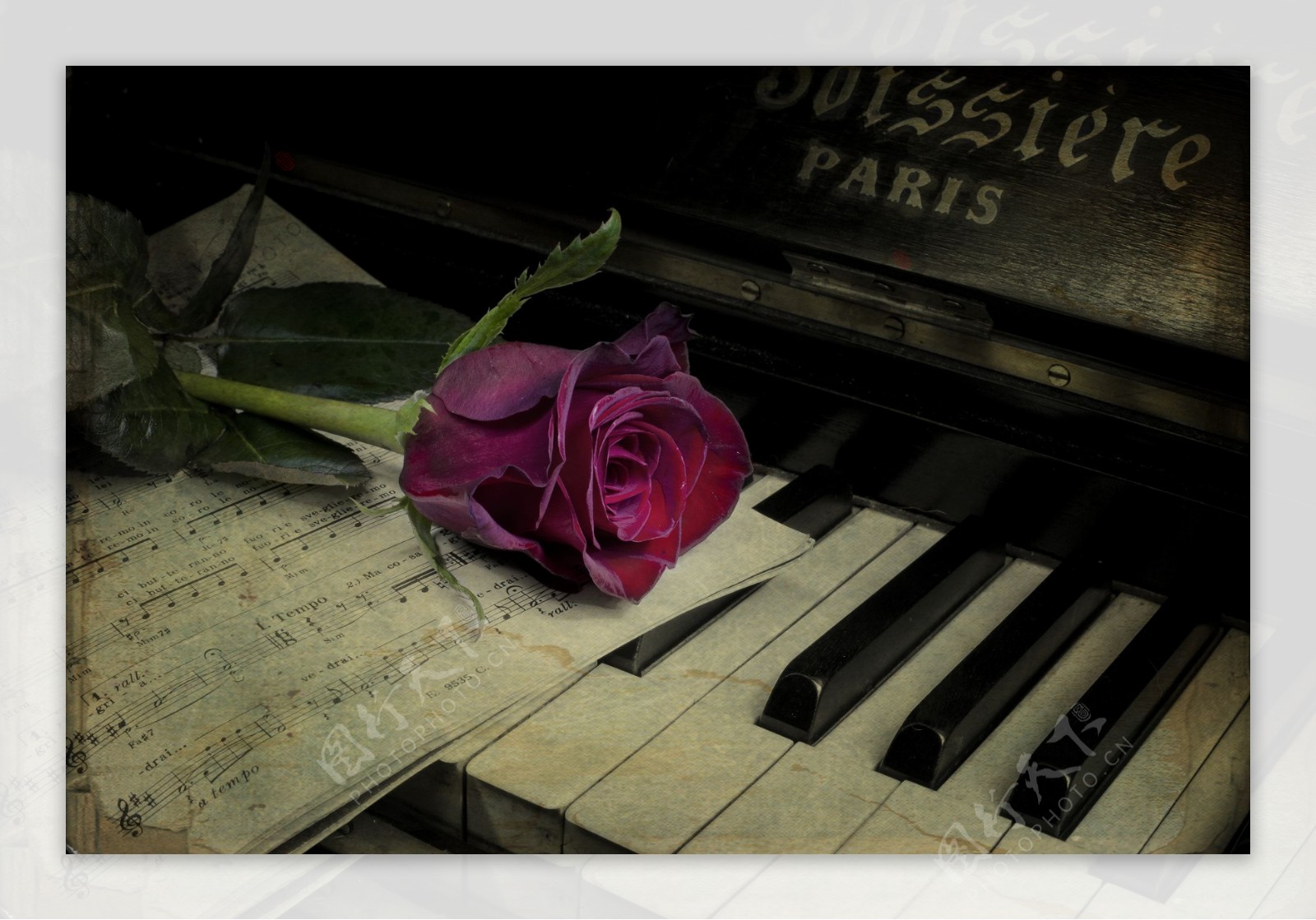 怀旧复古钢琴玫瑰
