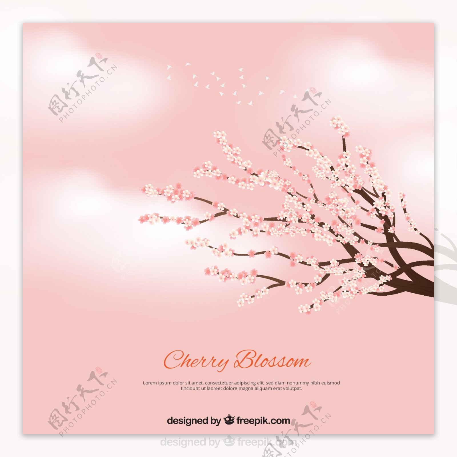 粉红色的背景云朵和树枝上盛开着樱花