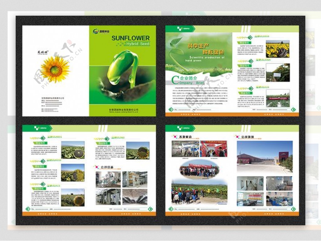 绿色企业宣传画册