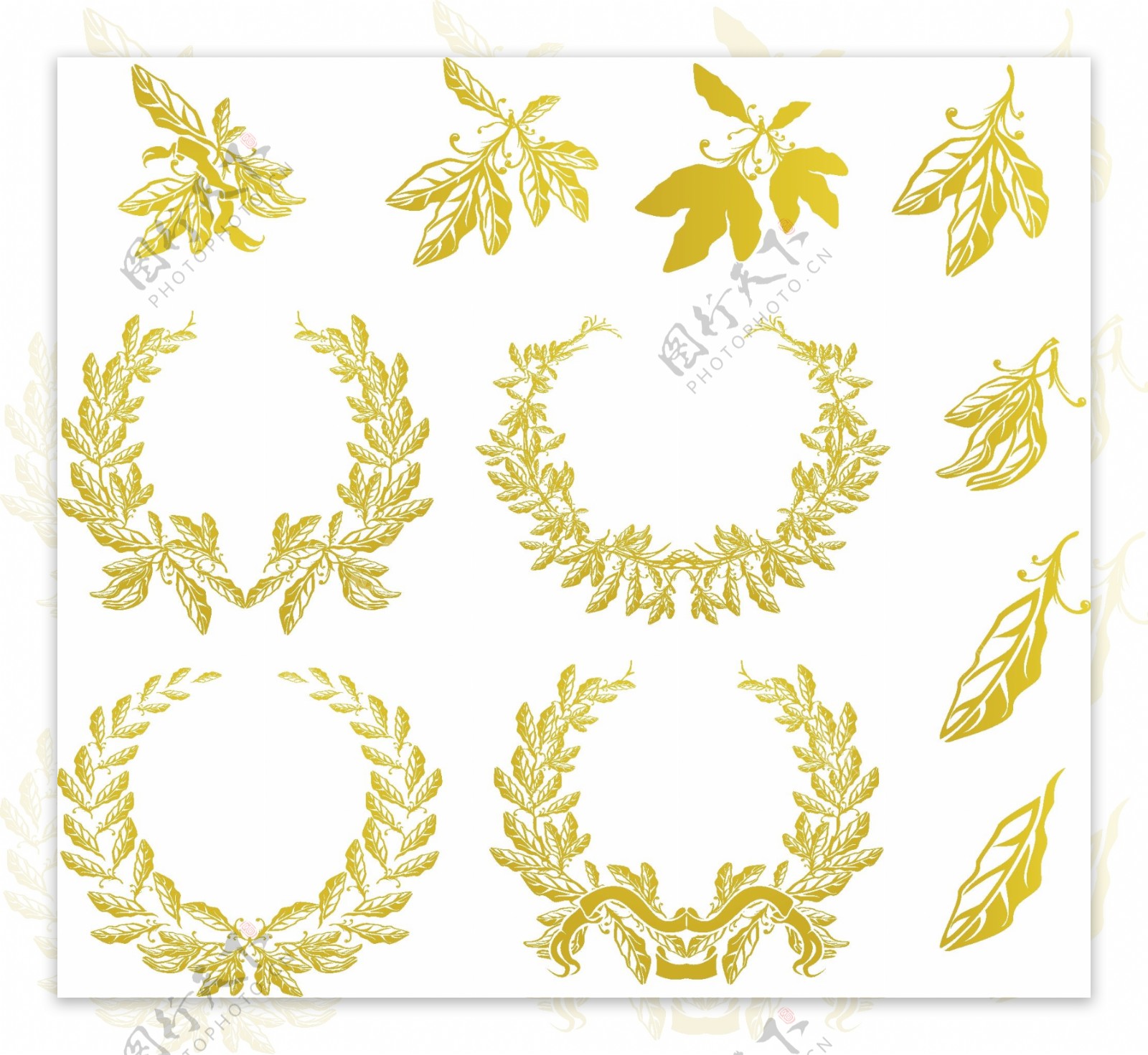 金色橄榄枝矢量素材图片