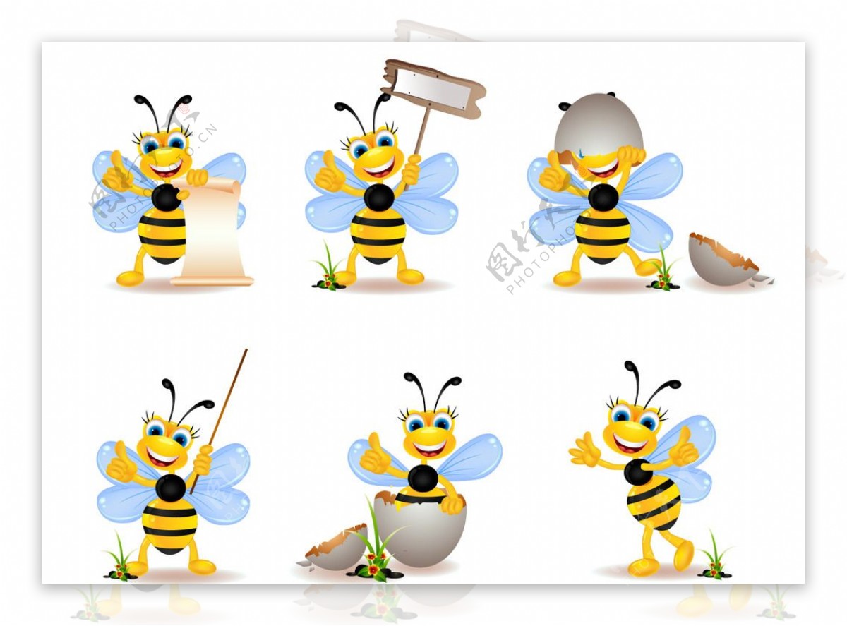 蜜蜂矢量