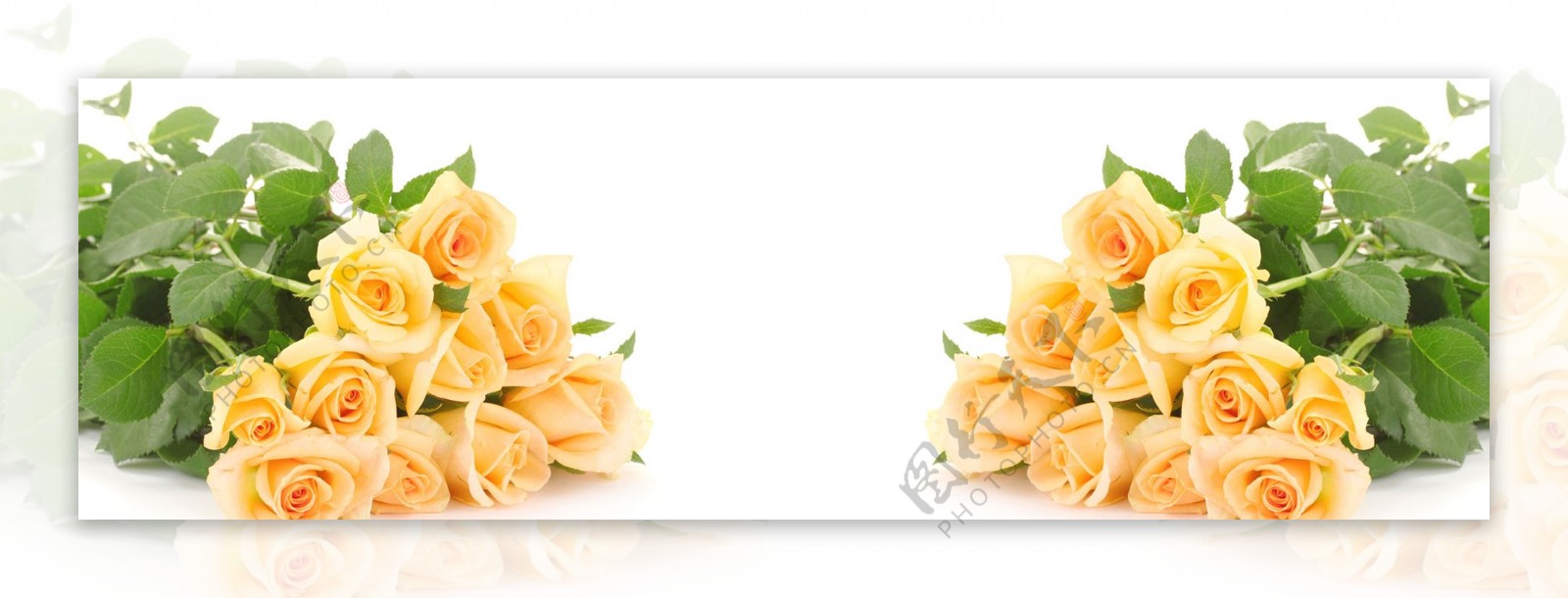 美丽黄玫瑰淘宝海报