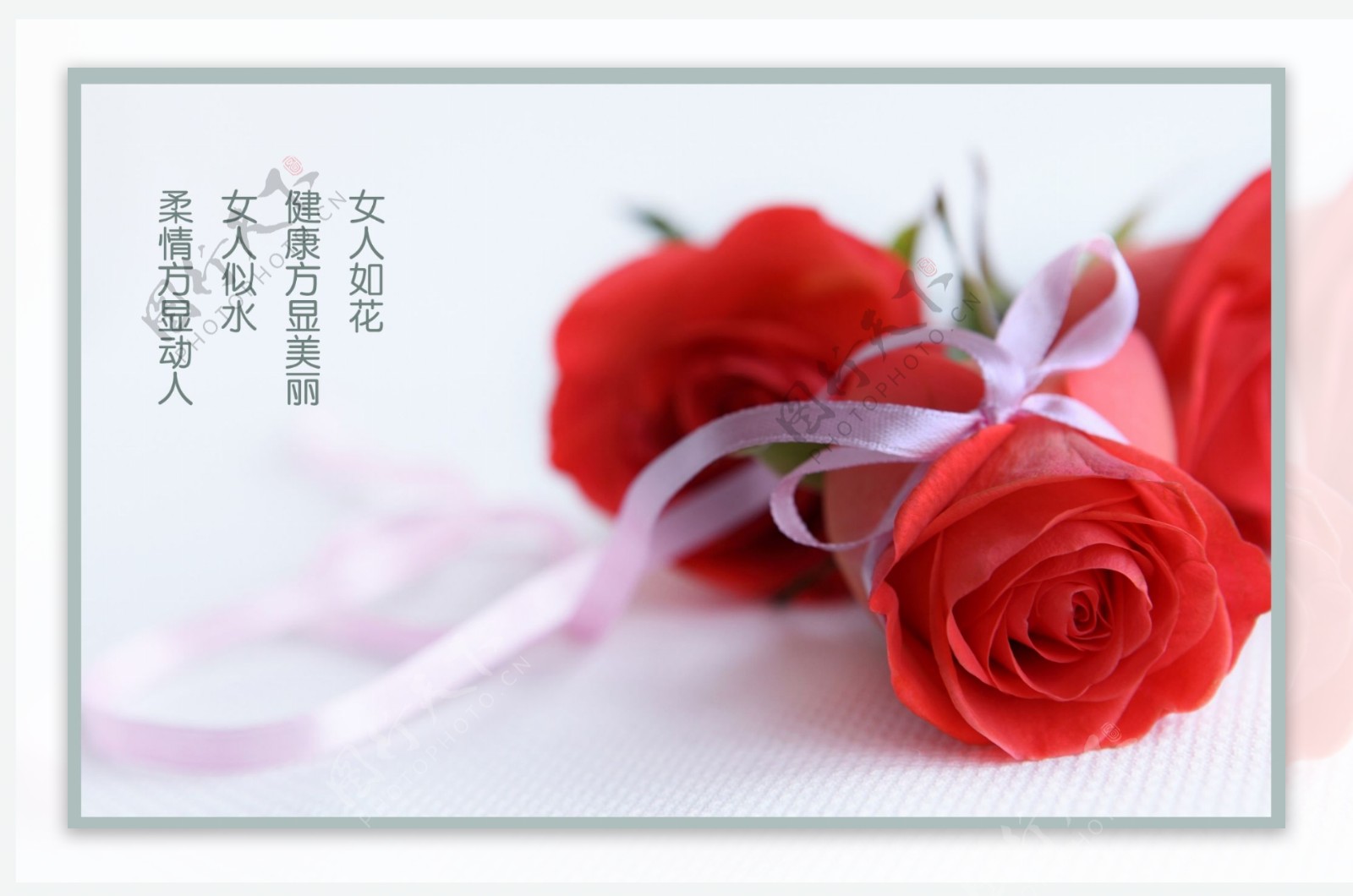 玫瑰花广告背景设计PSD分层素材
