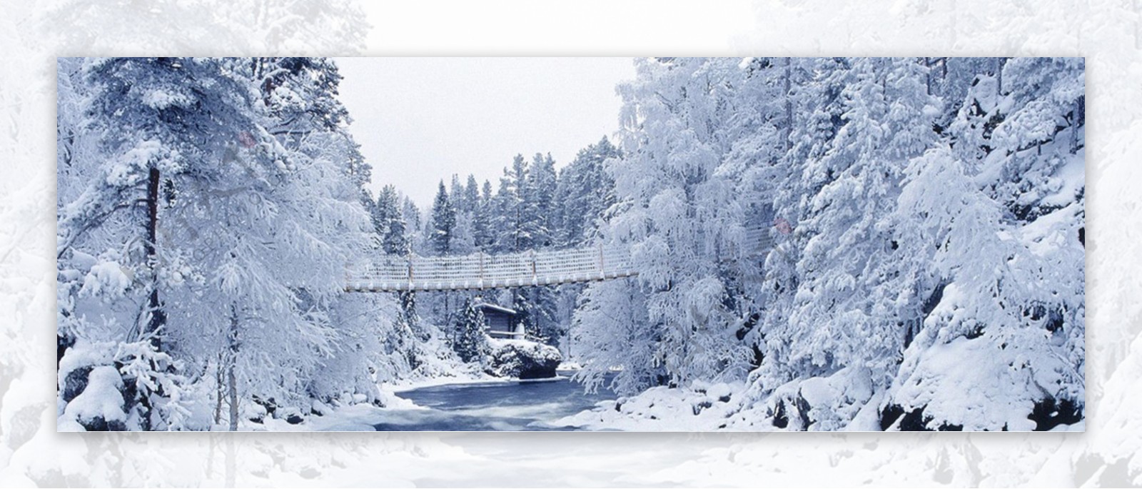 冬季雪景背景banner