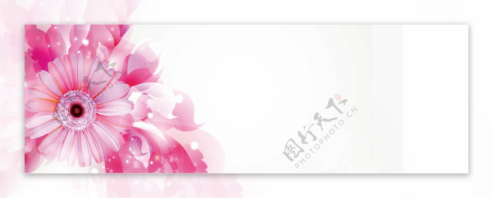 淘宝护肤高清花卉唯美背景banner