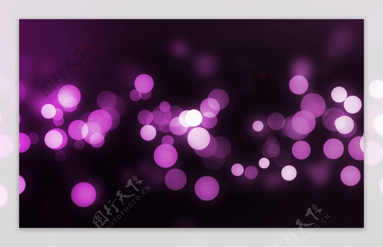紫色斑点背景设计素材图片下载桌面壁纸
