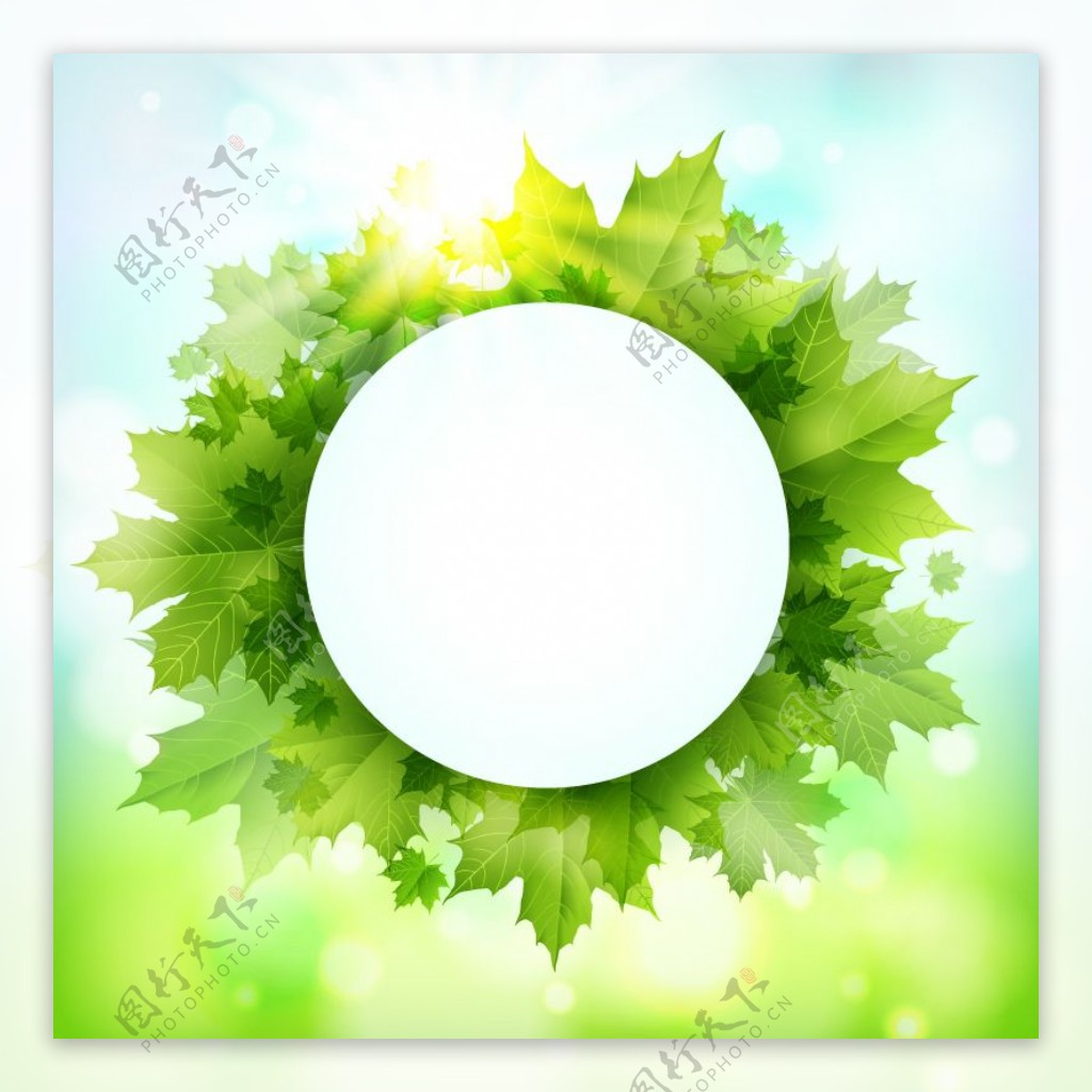 绿色枫叶装饰圆形标签背景