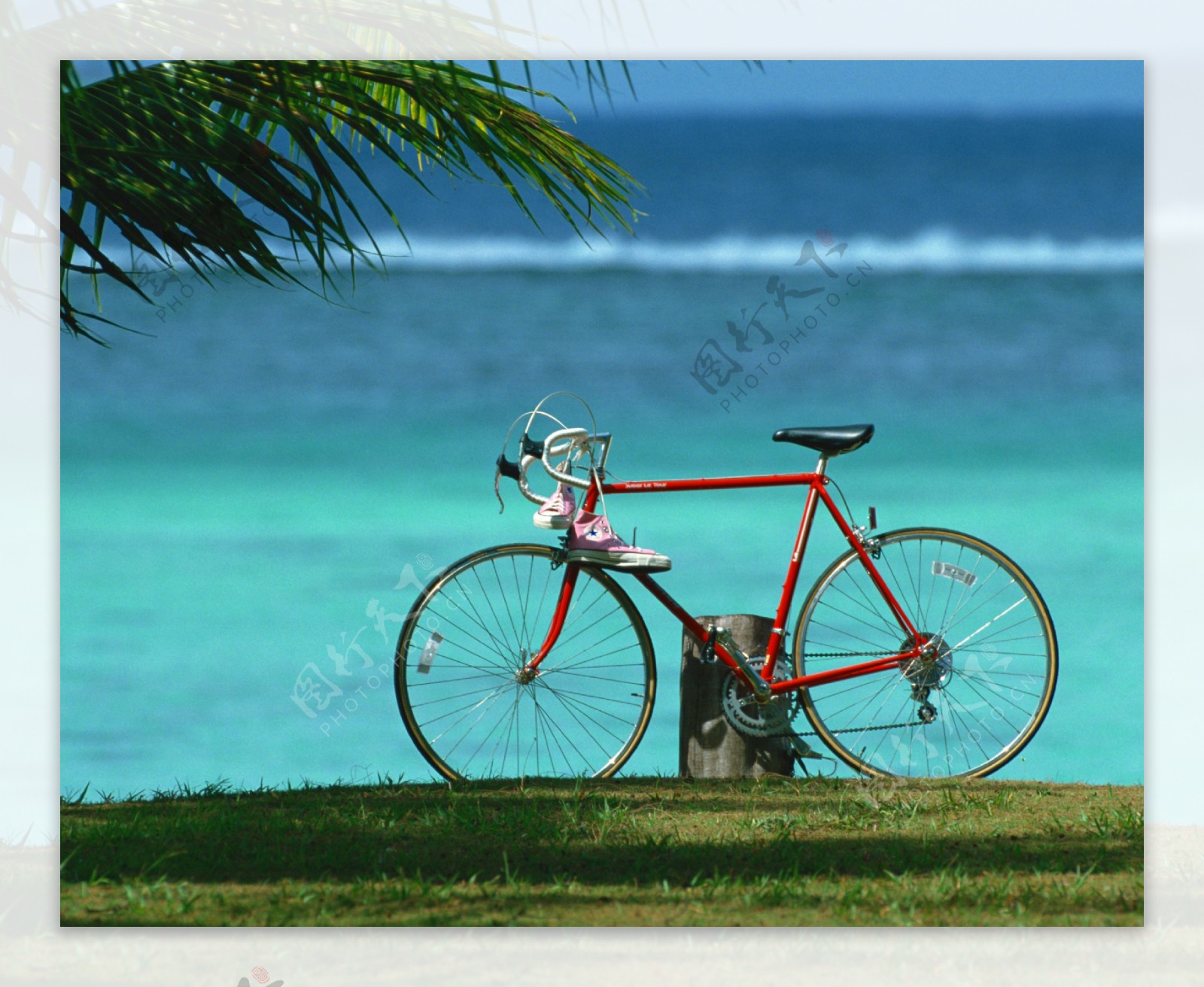 自行车大海海浪