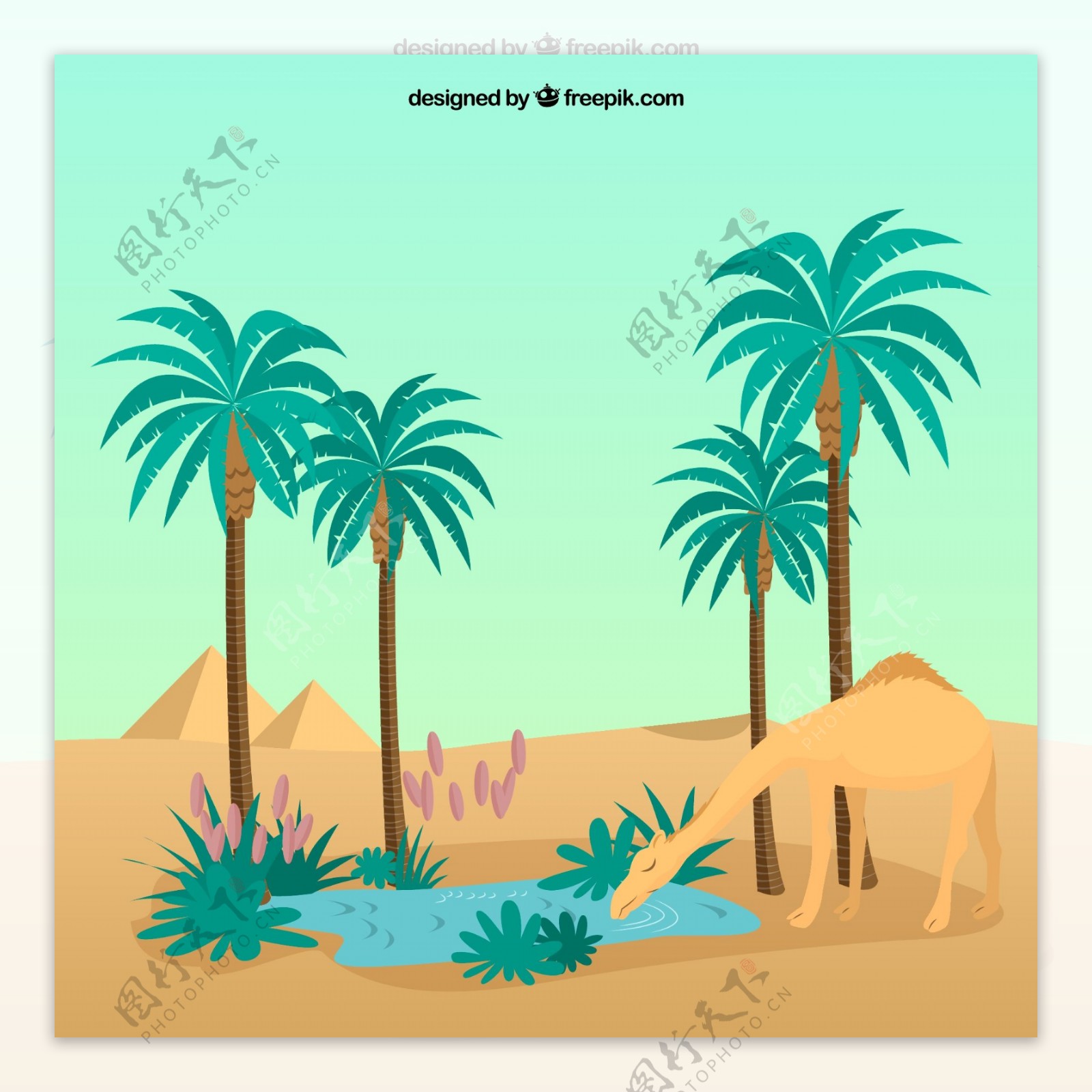沙漠绿洲和骆驼插画矢量素材