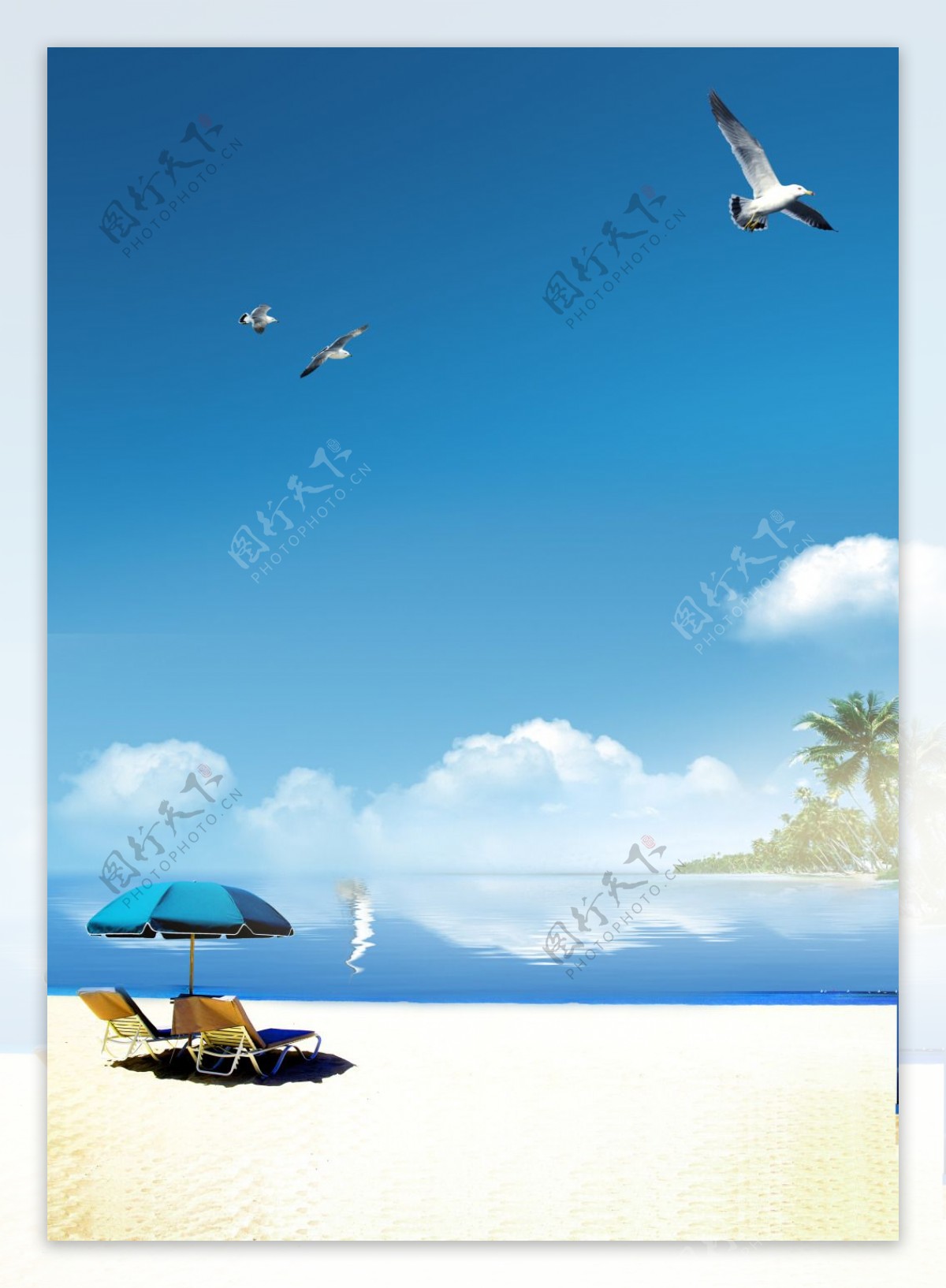 夏季海鸥沙滩背景