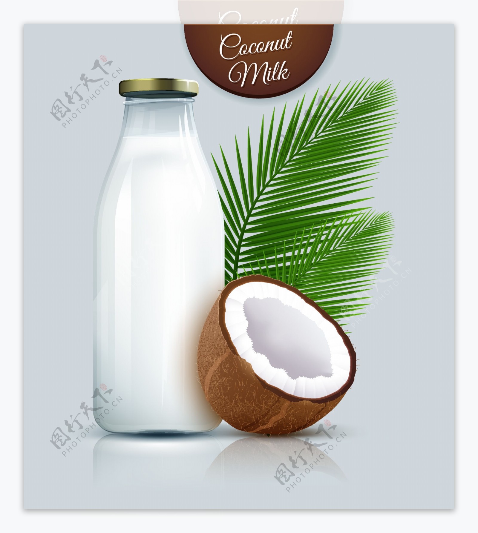天然美味的椰子汁插画