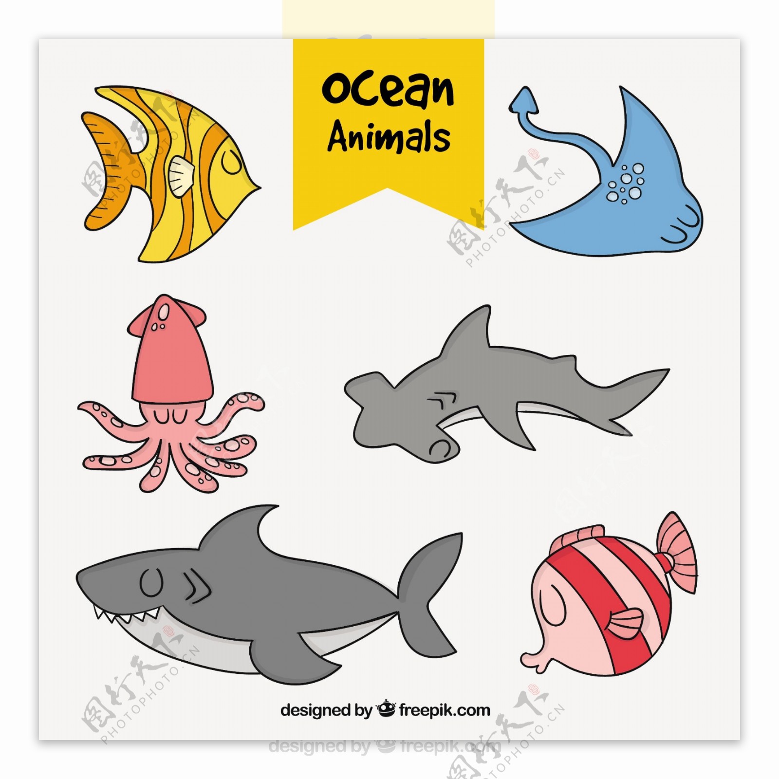 一群漂亮的手绘海洋动物