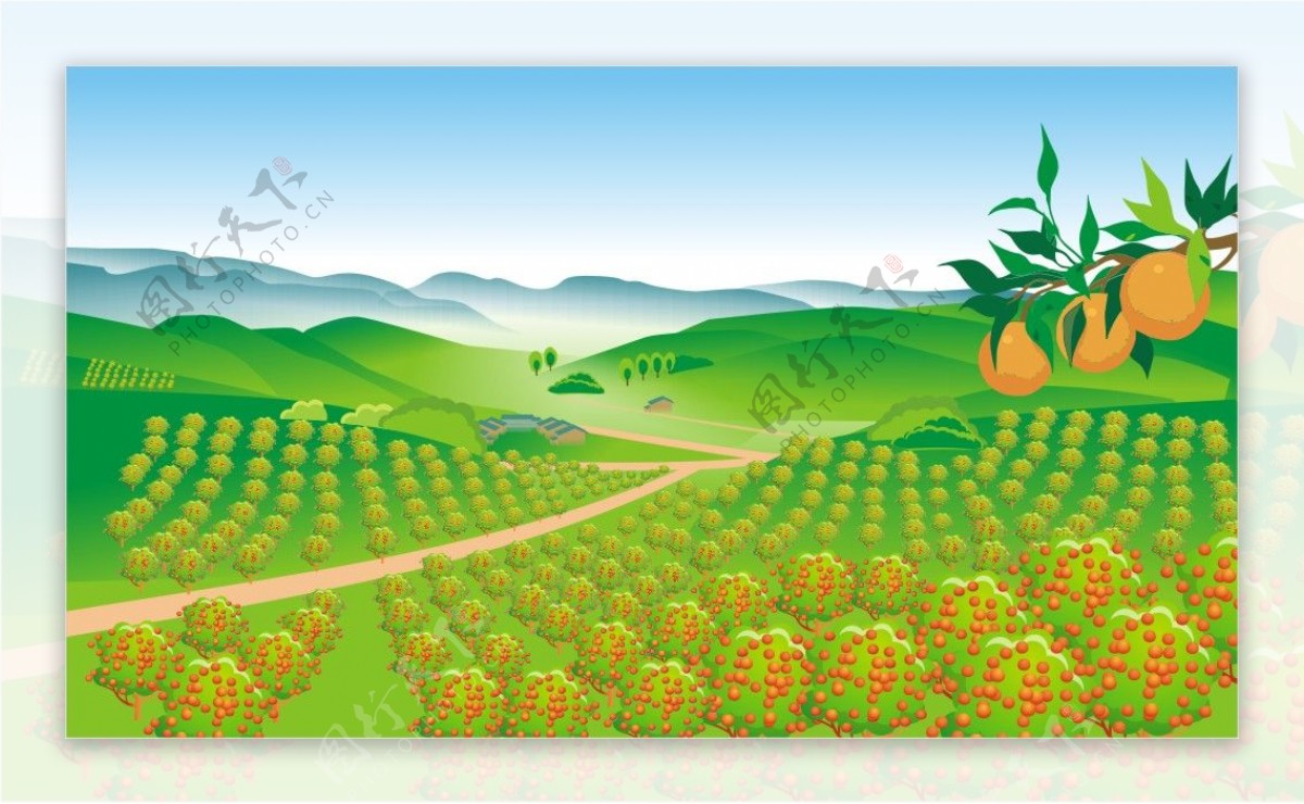 柑橘柑桔林cdr分层图