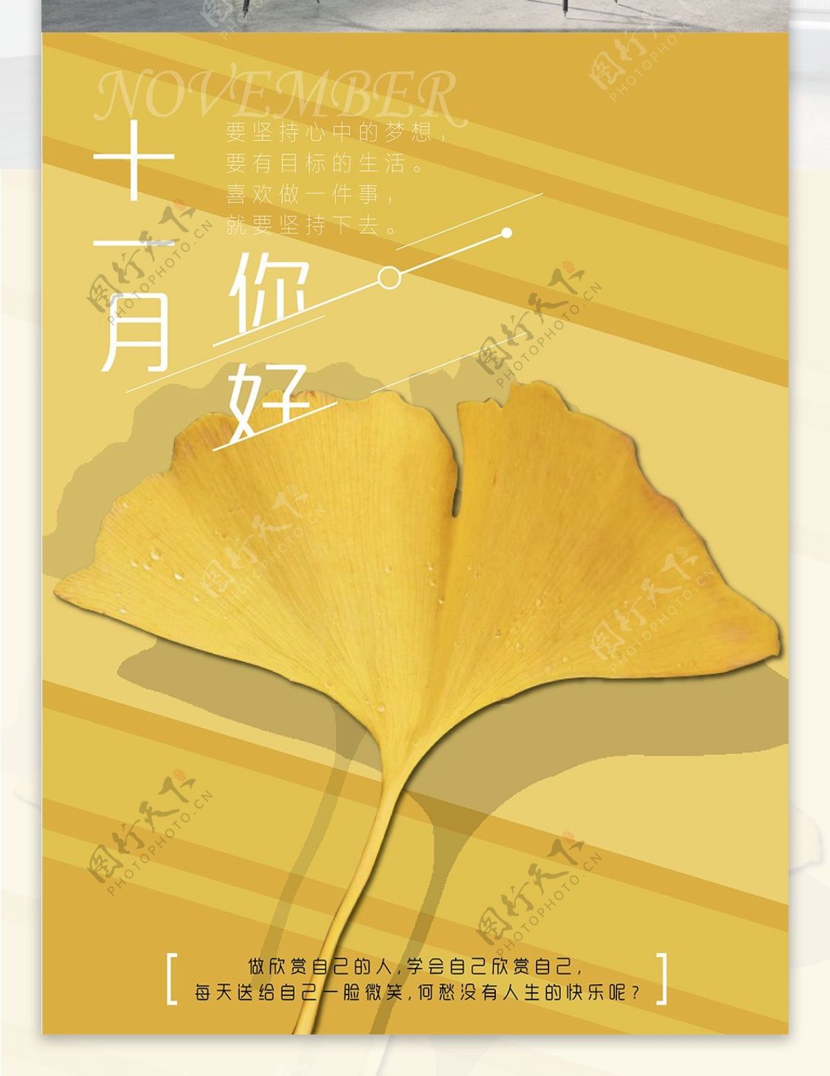 11月你好黄色背景银杏节日海报设计