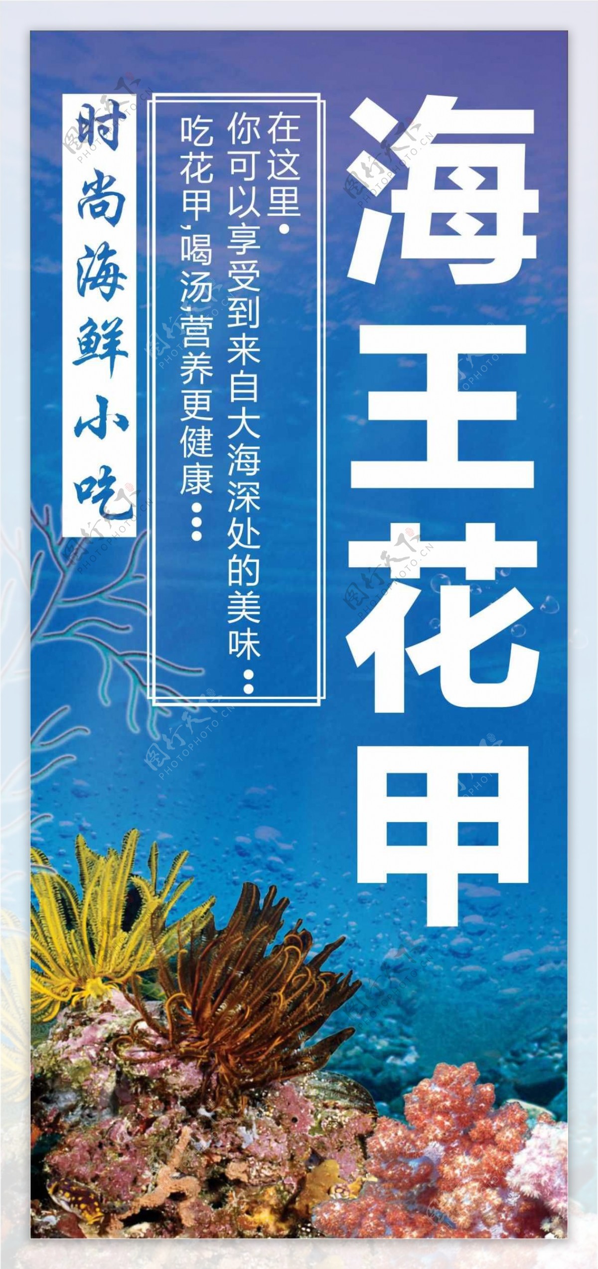海王花蛤海报