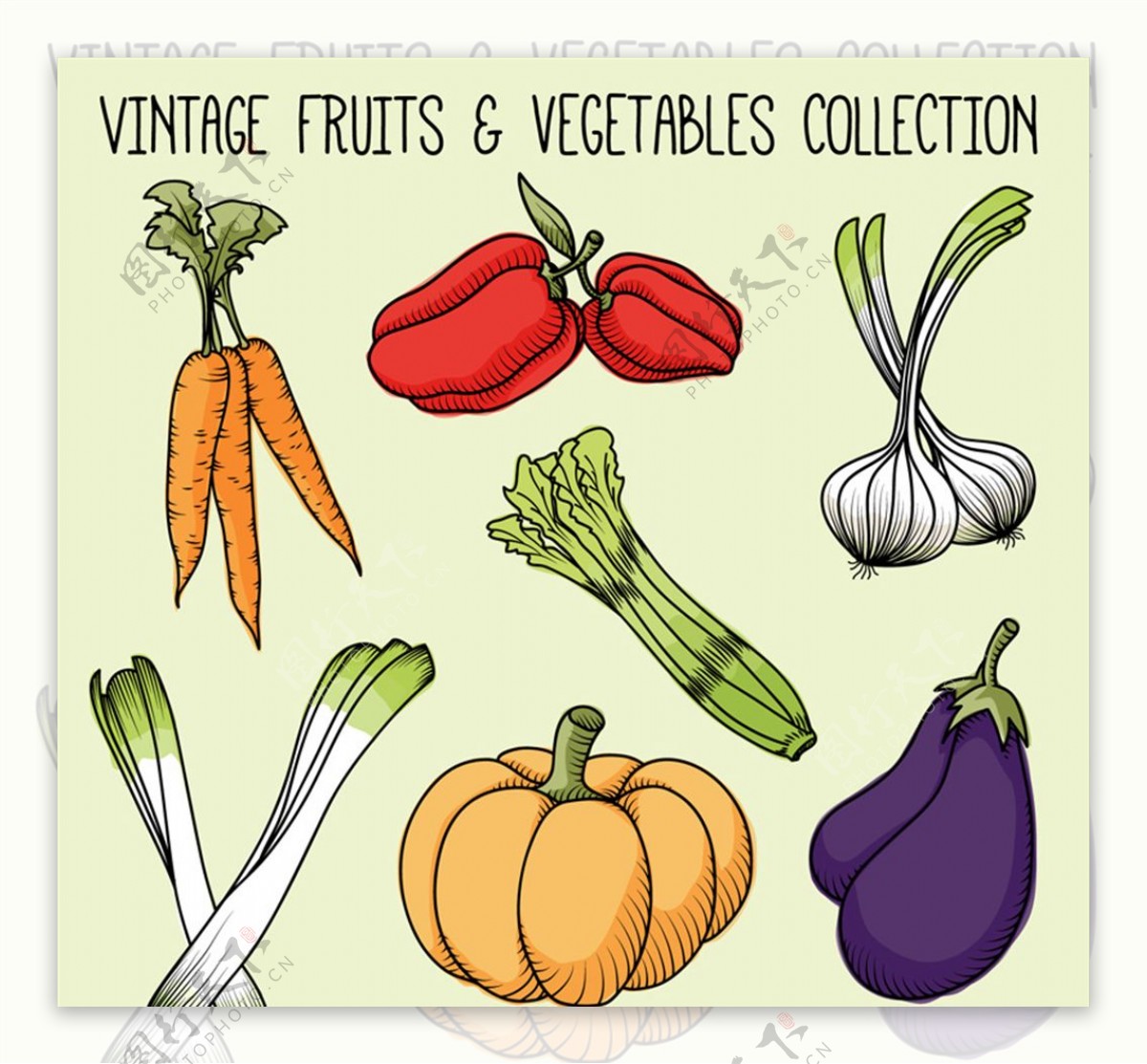 7款彩绘蔬菜设计矢量素材