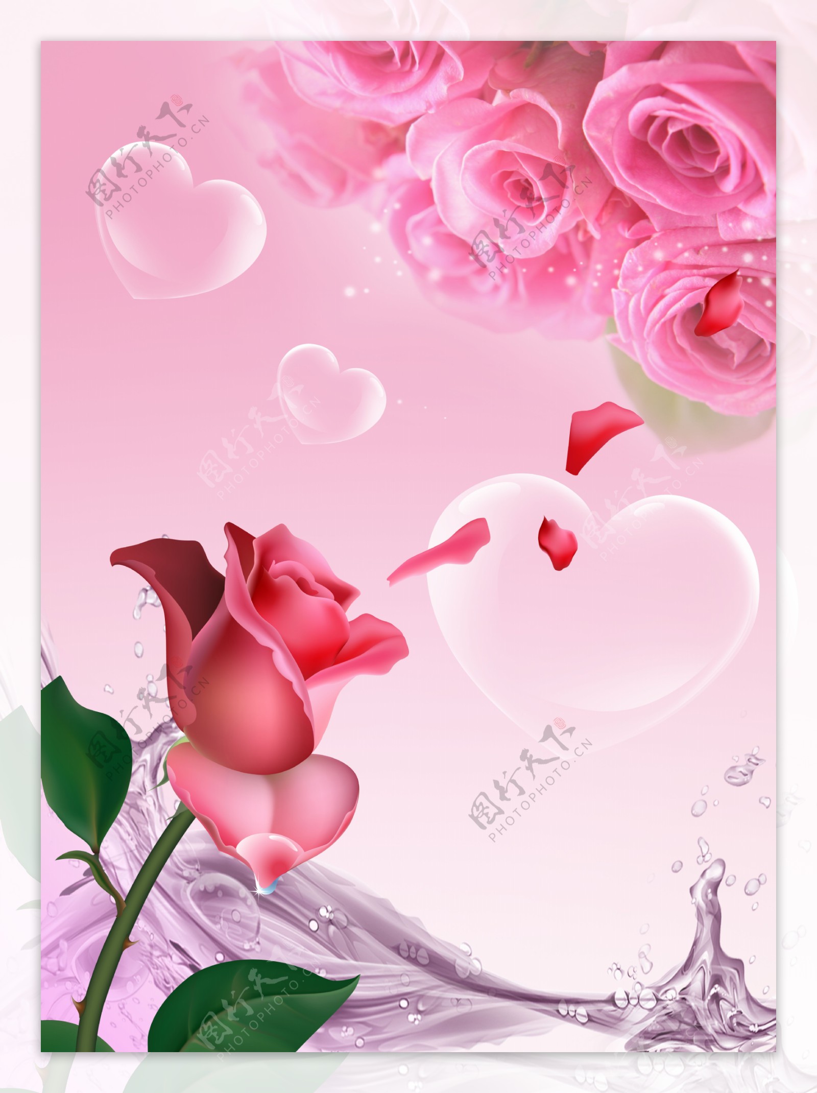 粉色玫瑰花花朵移门装饰画