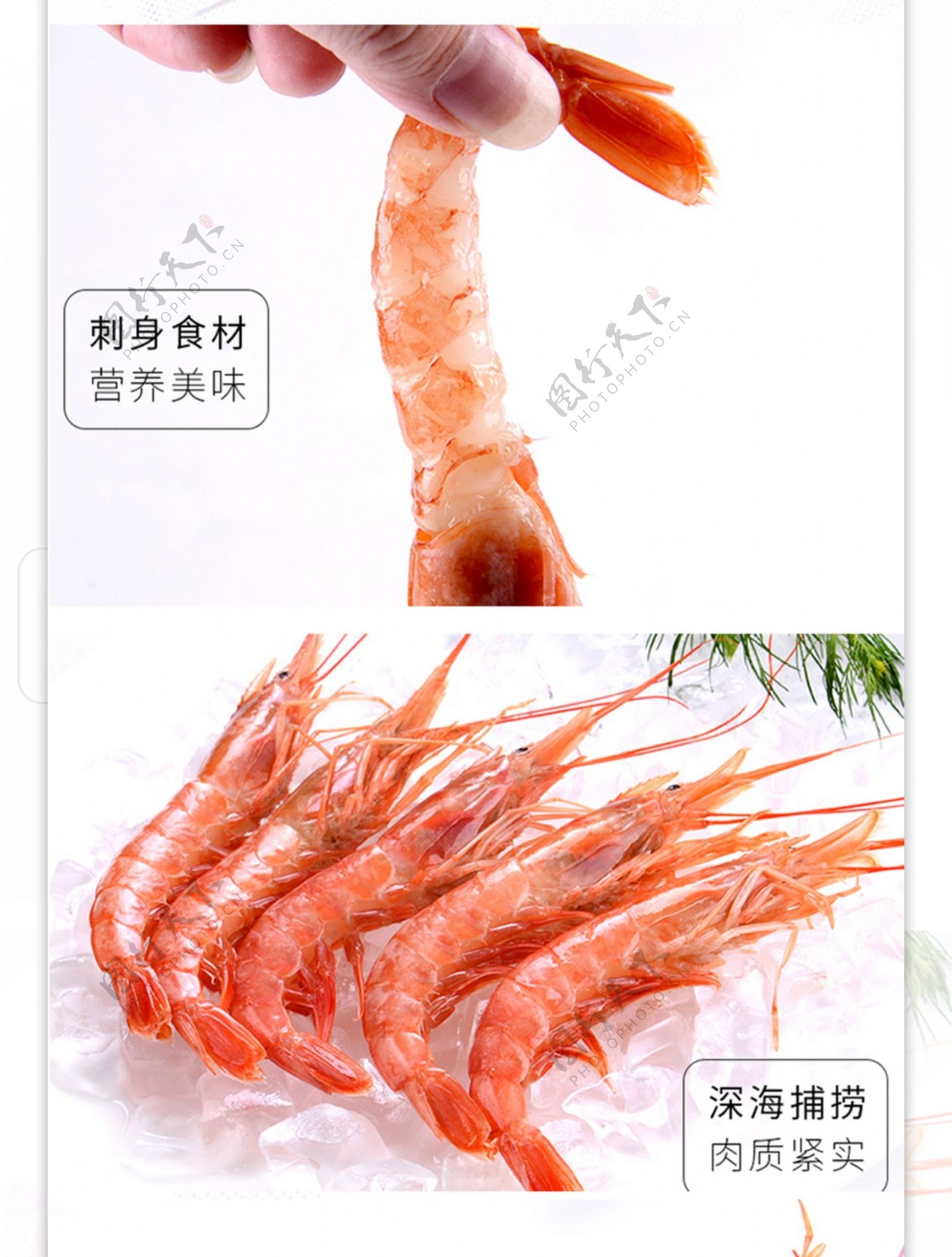 冻阿根廷红虾淘宝详情页模板