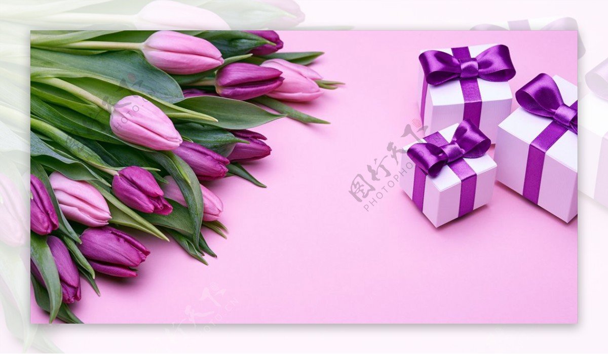 紫色郁金香礼物盒