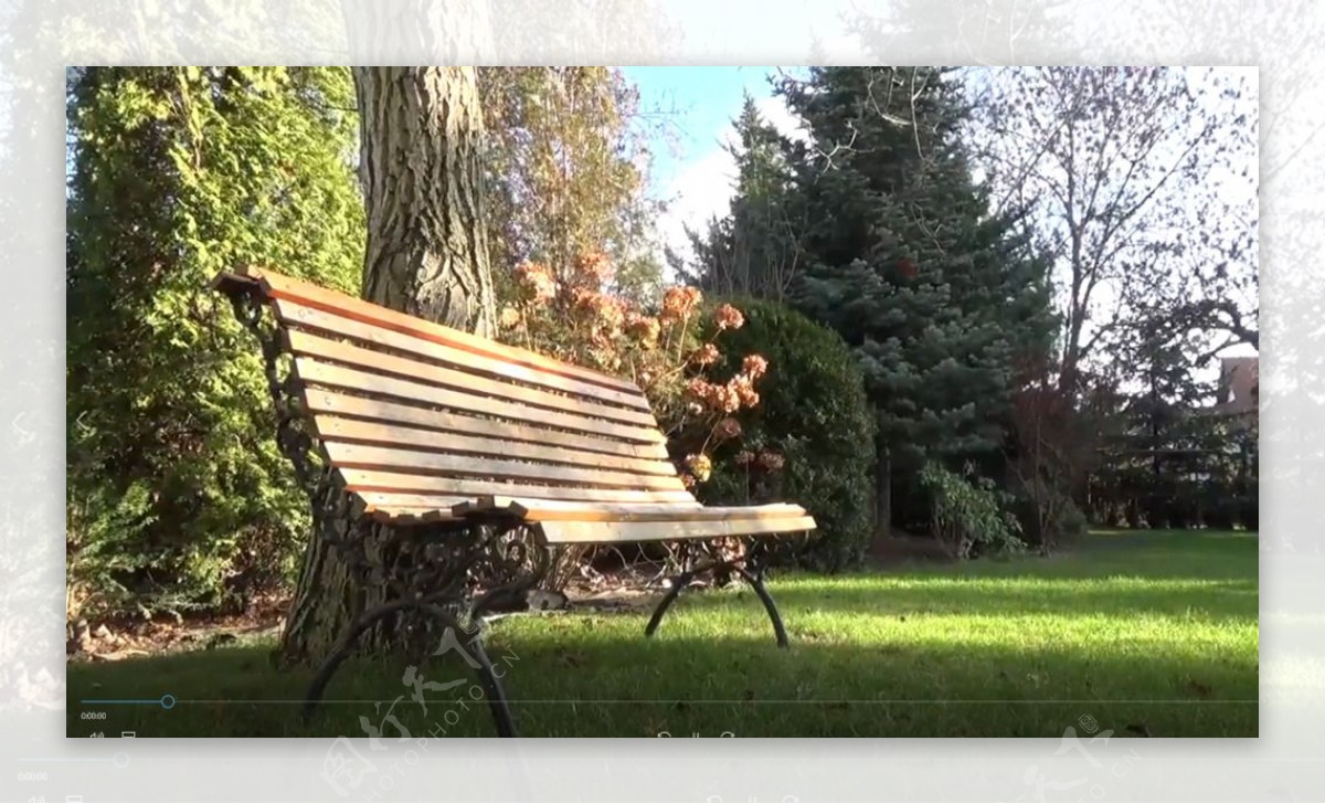 微风吹过公园里草地上孤独的长椅实拍视频