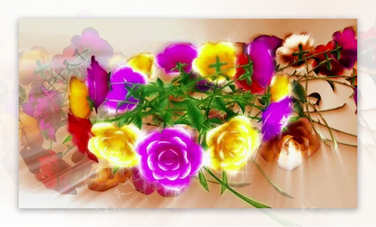 彩色花卉花朵变换视频素材