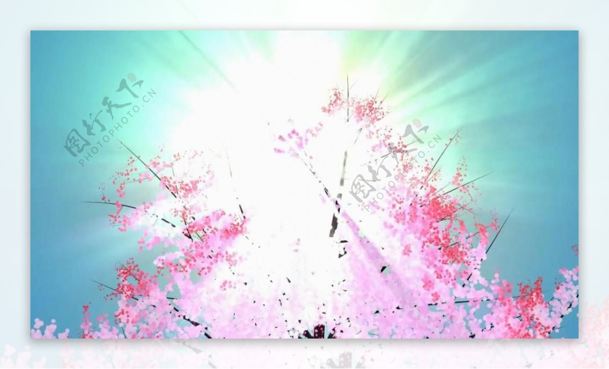 梦幻蓝天桃树背景视频素材