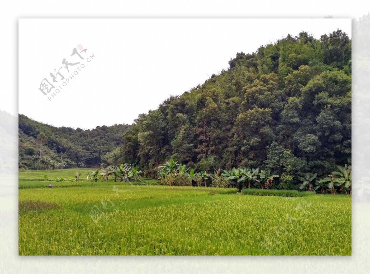 山川田野