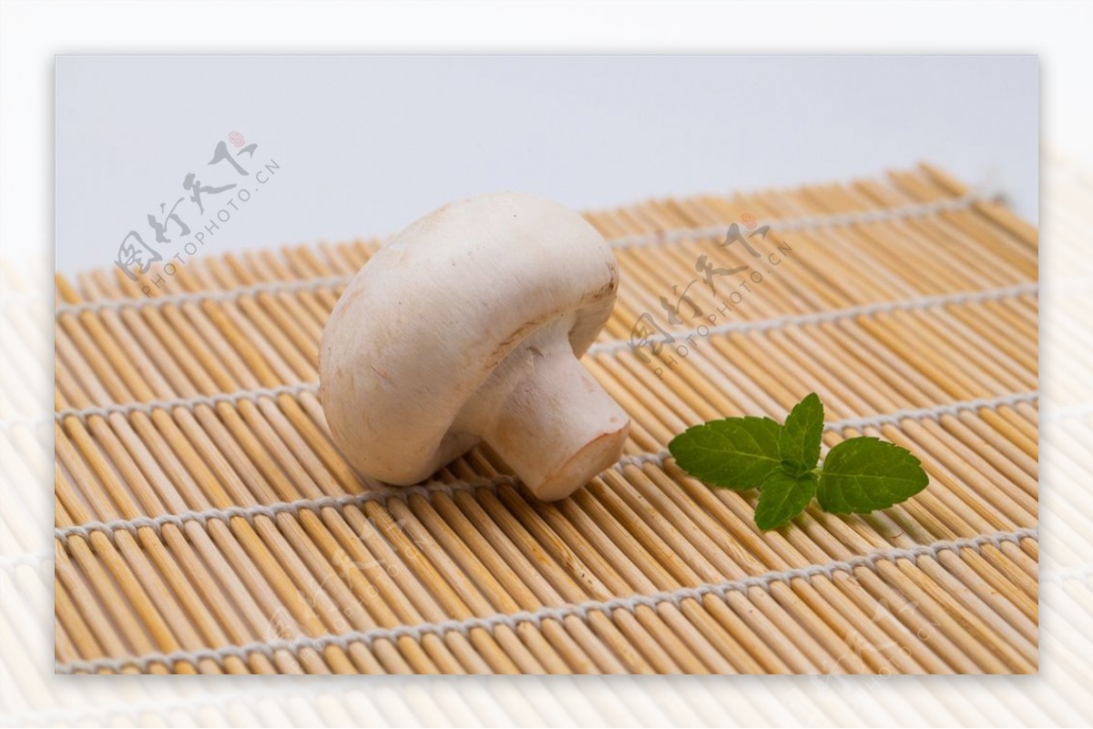 白色蘑菇_白色蘑菇做法_微信公众号文章