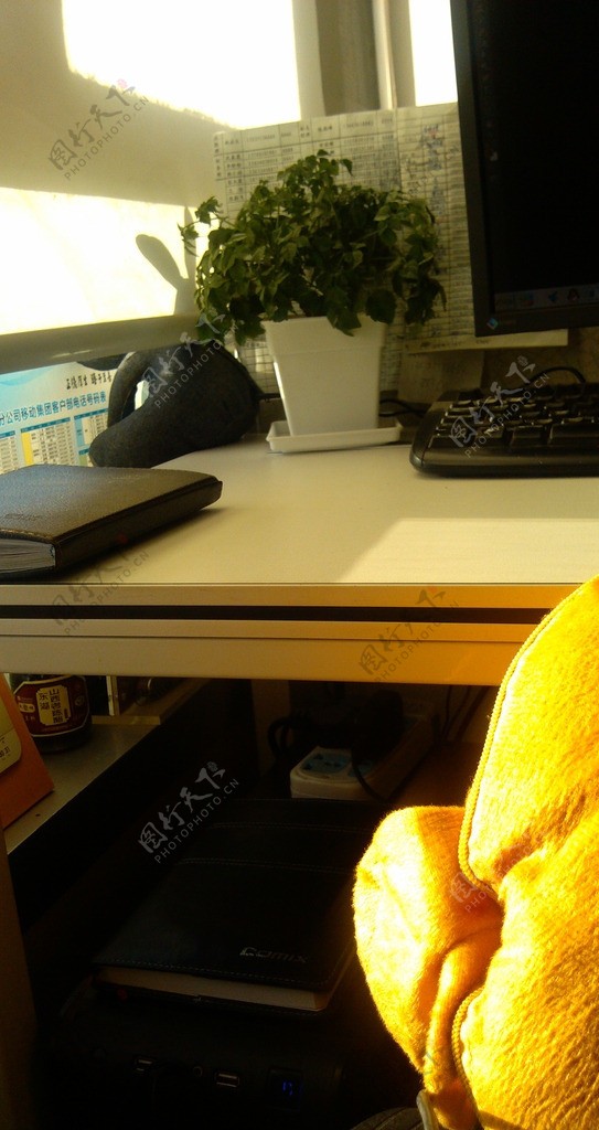办公桌绿植抱枕阳光