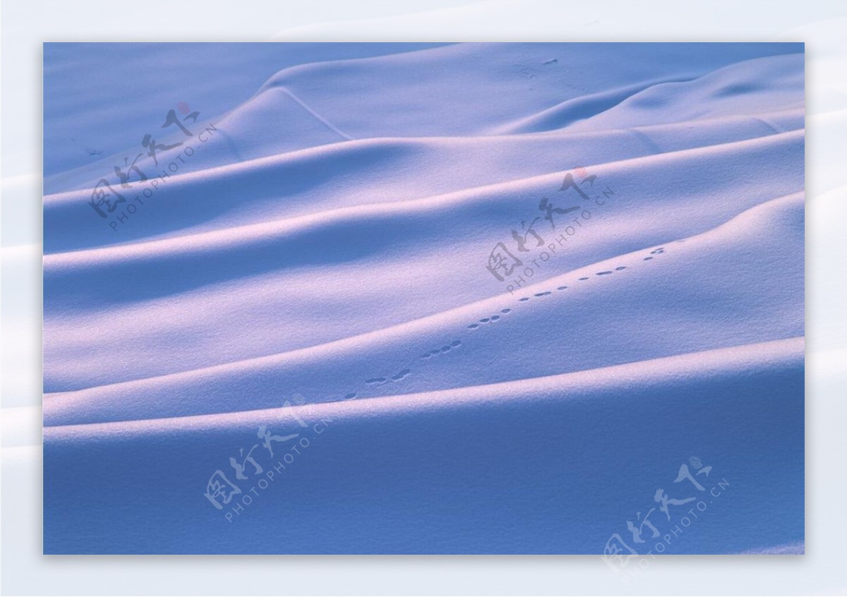 冬天雪景