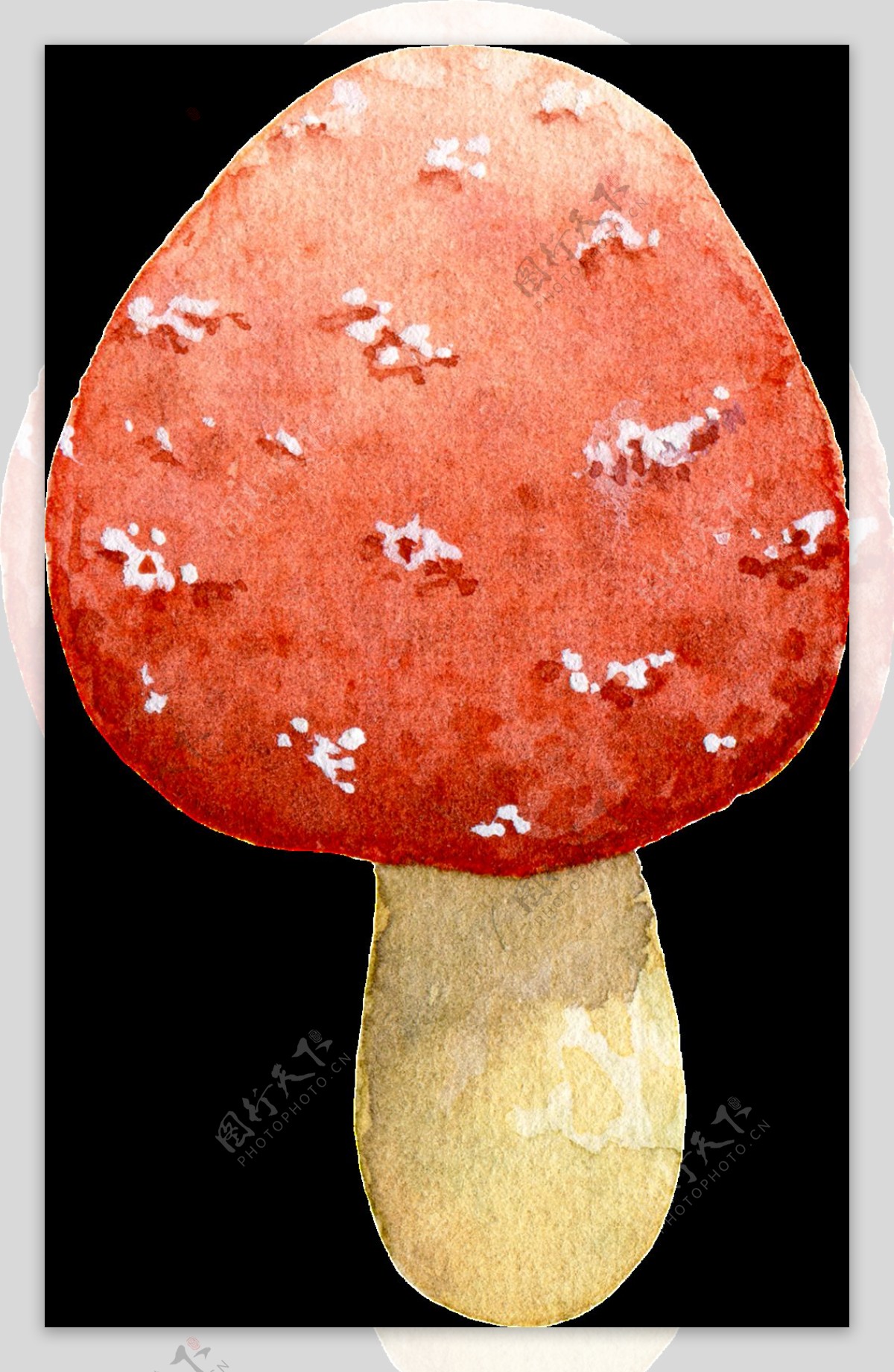 菌菇类红色蘑菇透明装饰素材