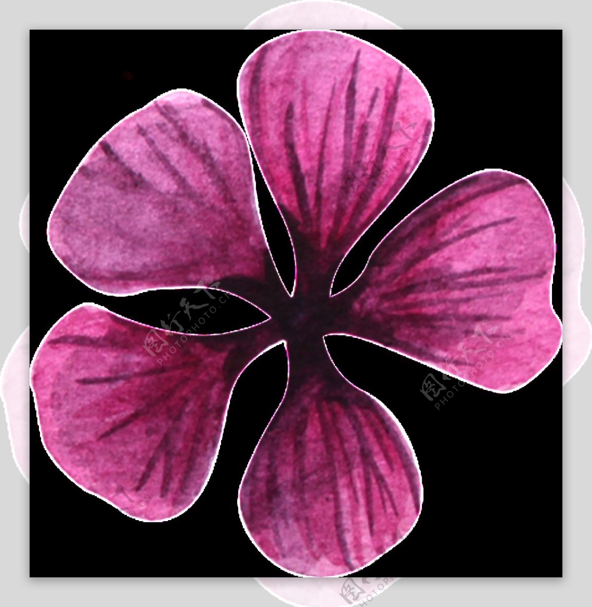 紫色五瓣花透明装饰图案