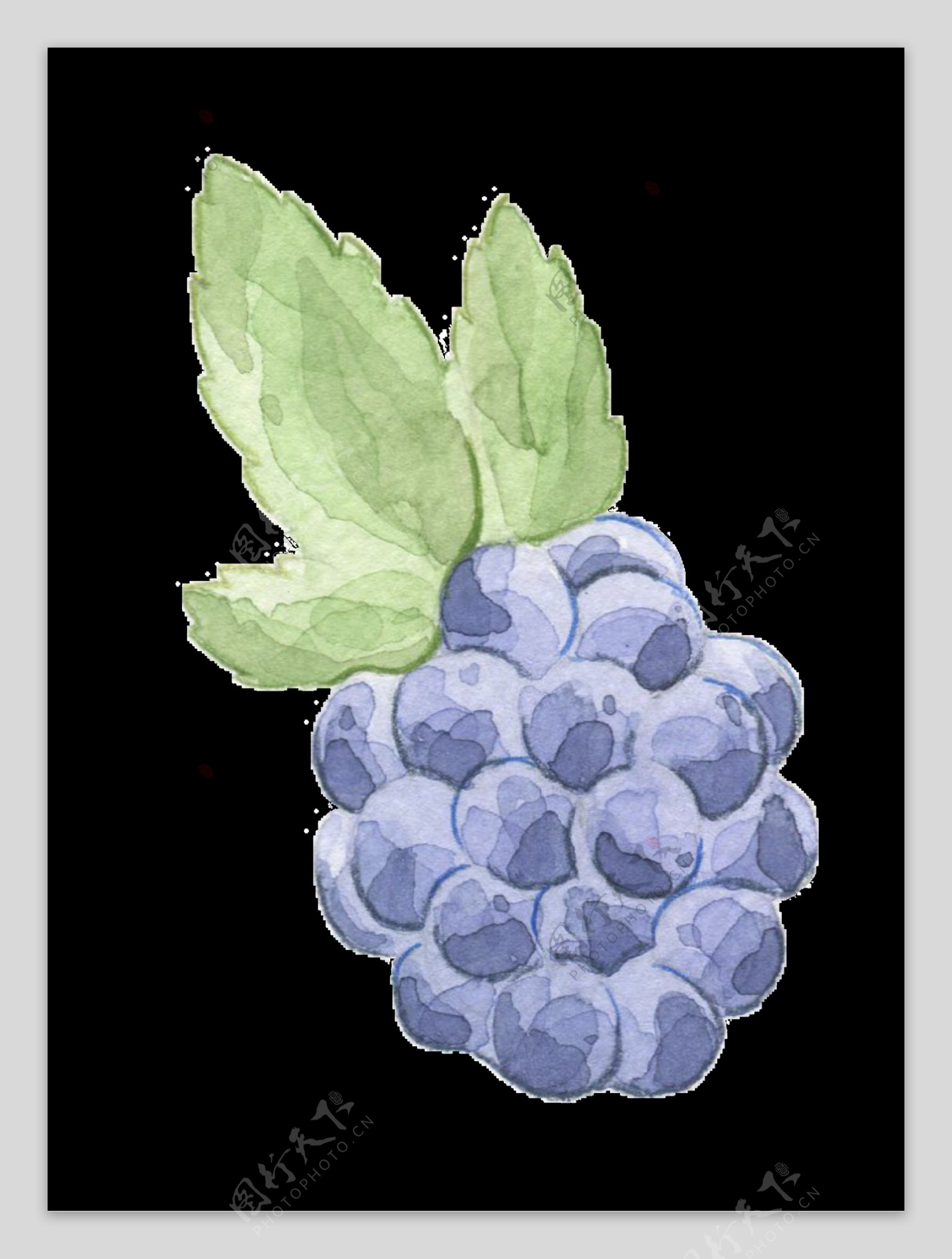 手绘紫色新鲜葡萄透明装饰图案