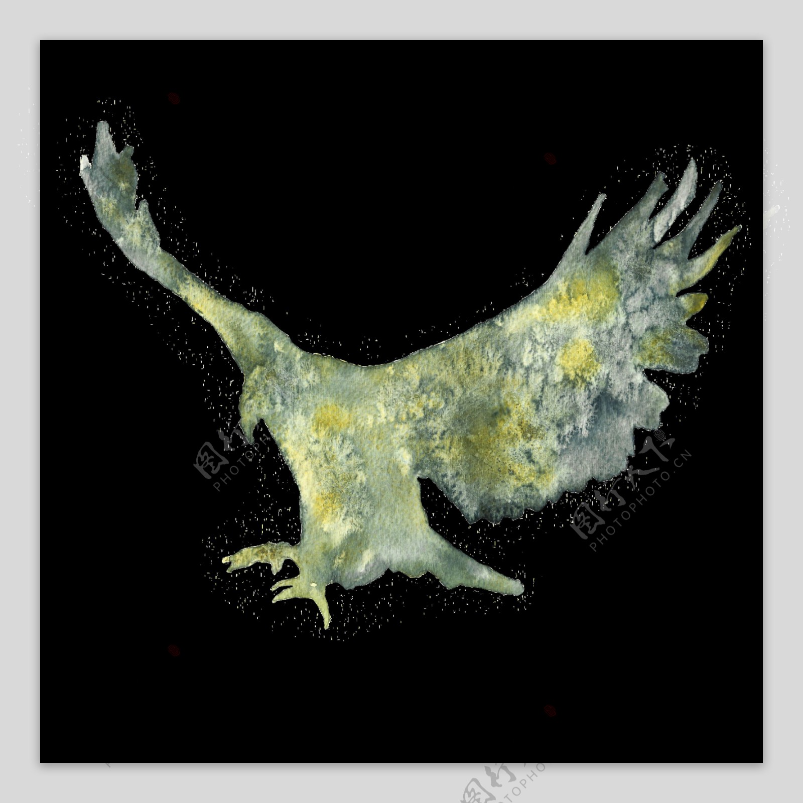 水彩老鹰透明装饰图案