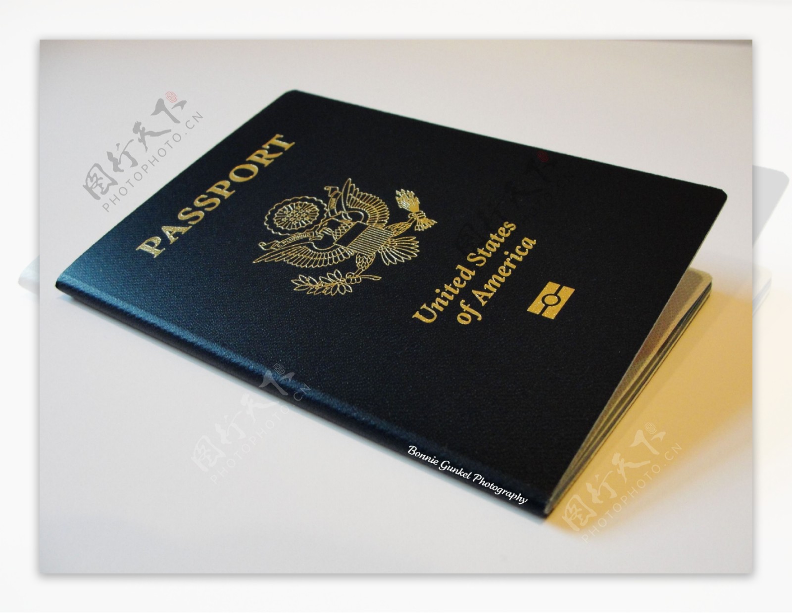 护照passport